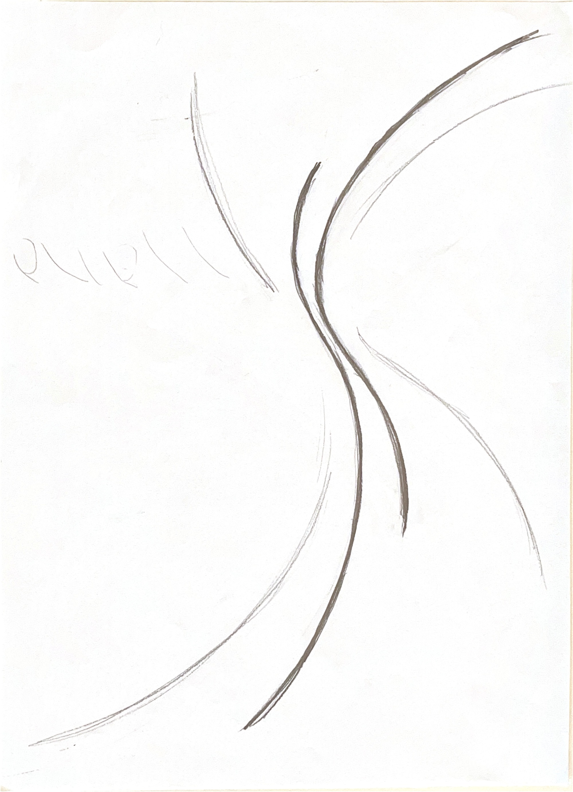 Line drawing exploring flowing curves and organic edge conditions in pencil