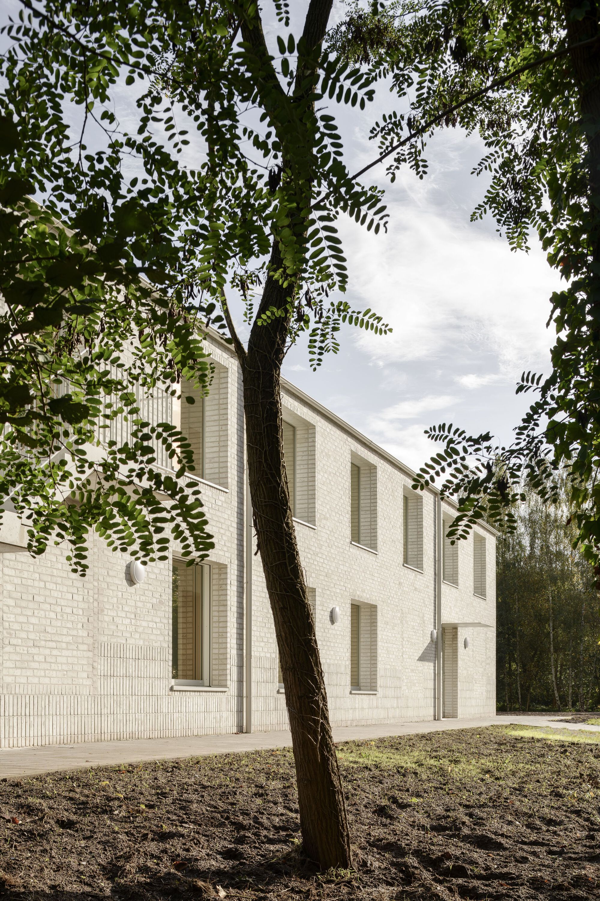 White brick side elevation with shuttered openings framed by a leaning tree trunk in dappled light