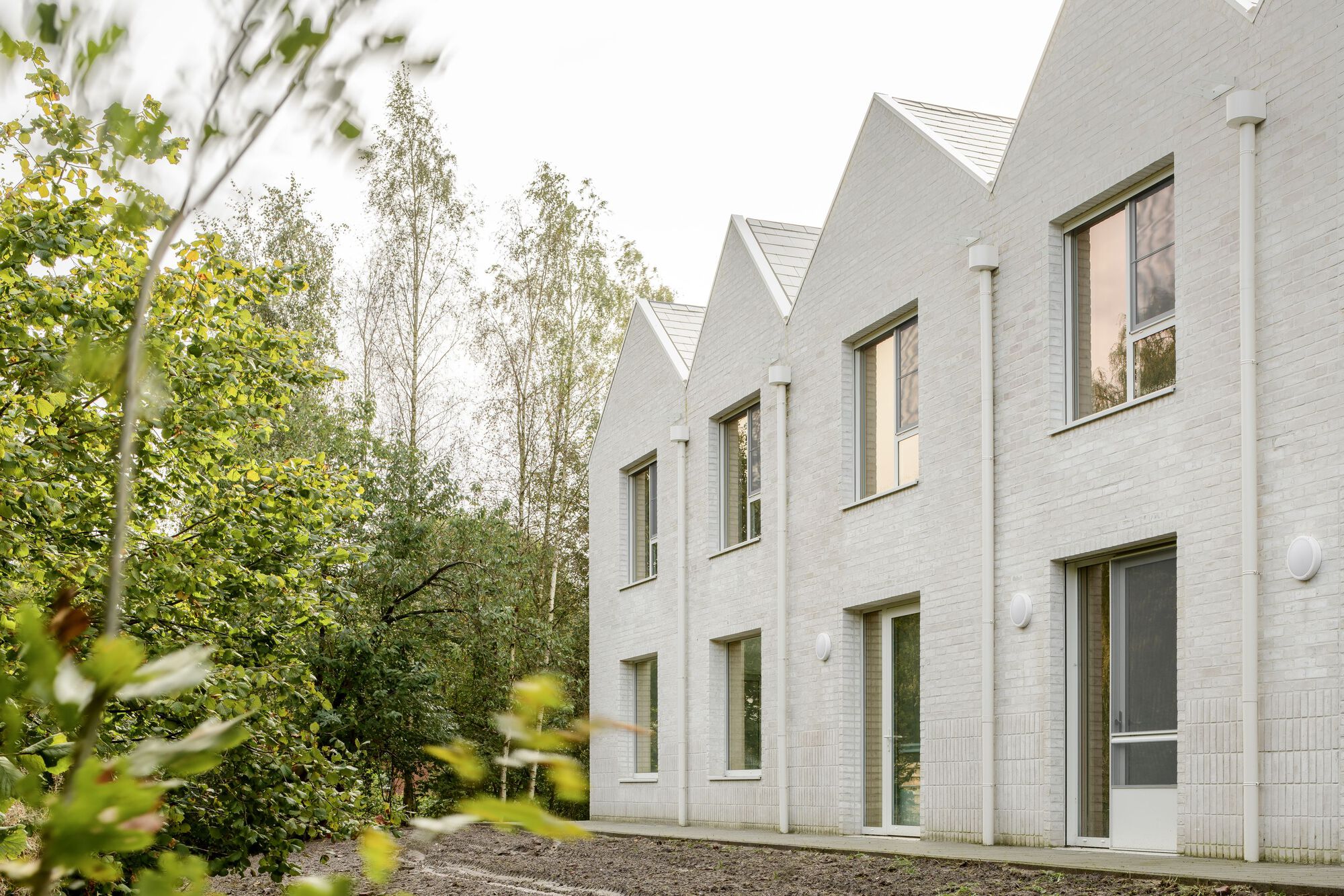 Sawtooth roofline of pale brick housing units framed by birch trees and garden foliage