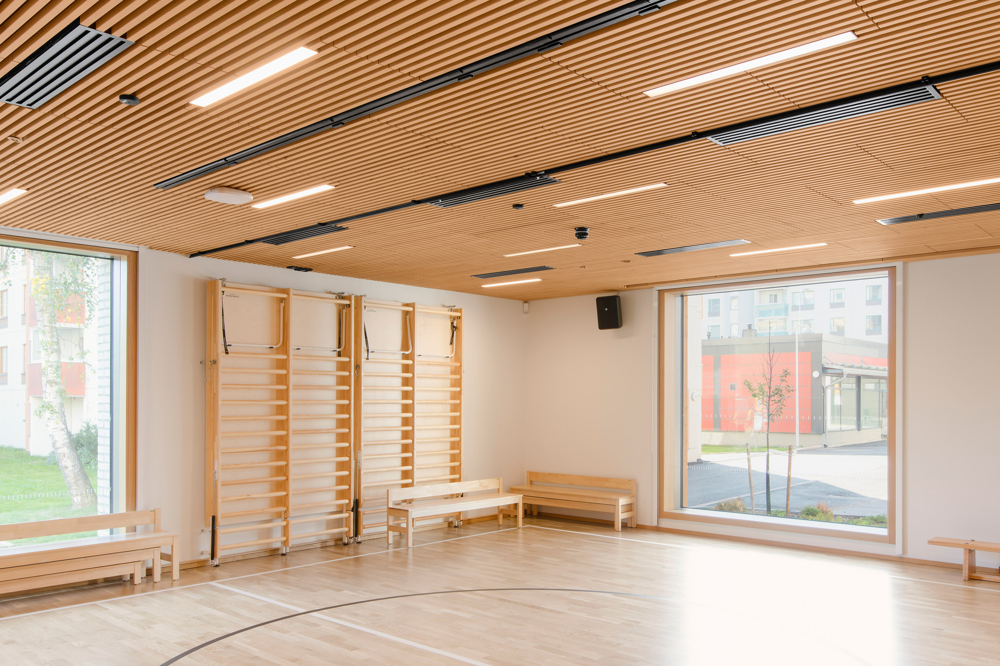 Gymnasium with timber slatted ceiling, wall bars, benches, and large windows overlooking the street