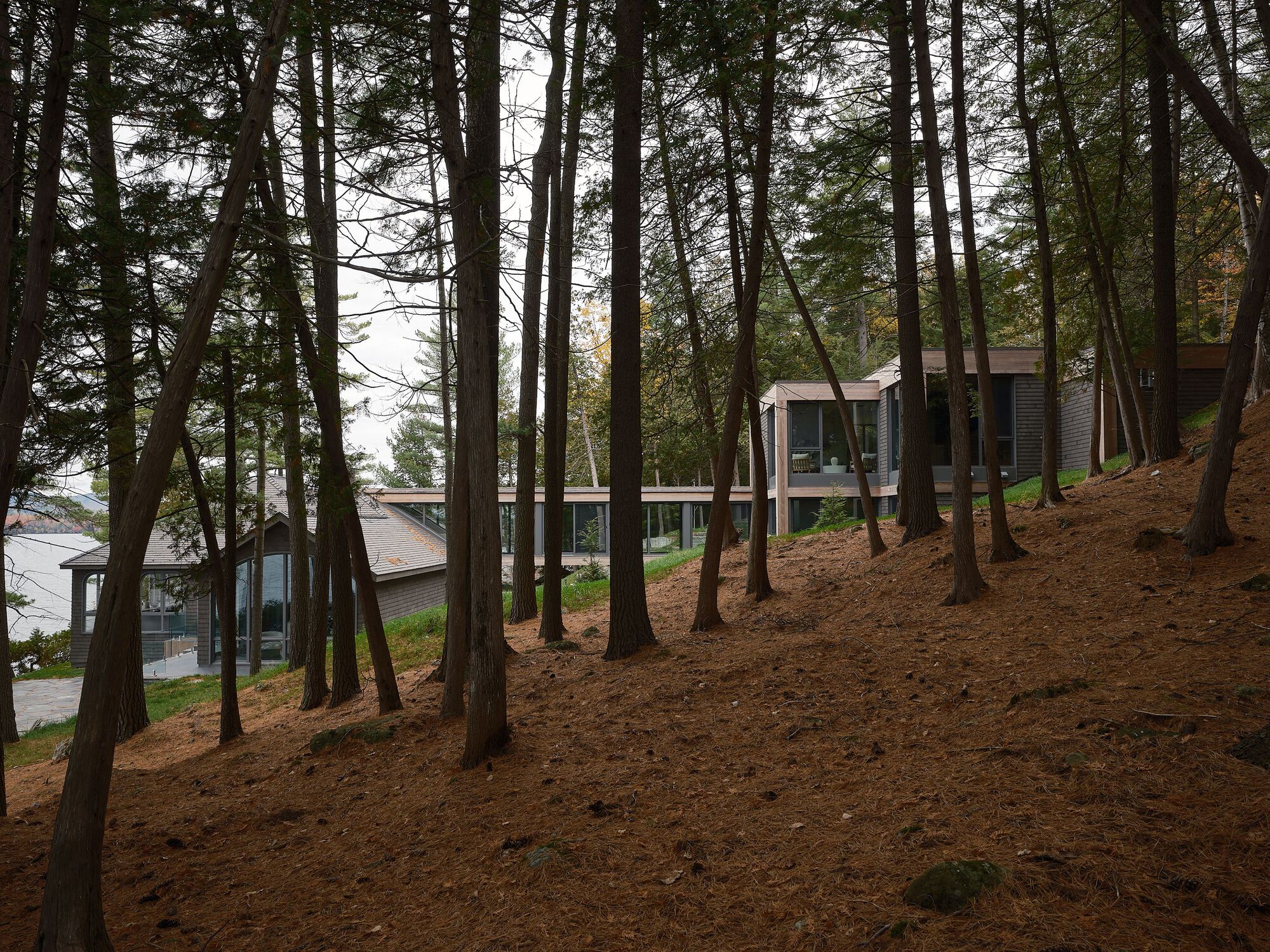 View through tall pine trees on a sloped site revealing the glass-walled residence and waterfront below