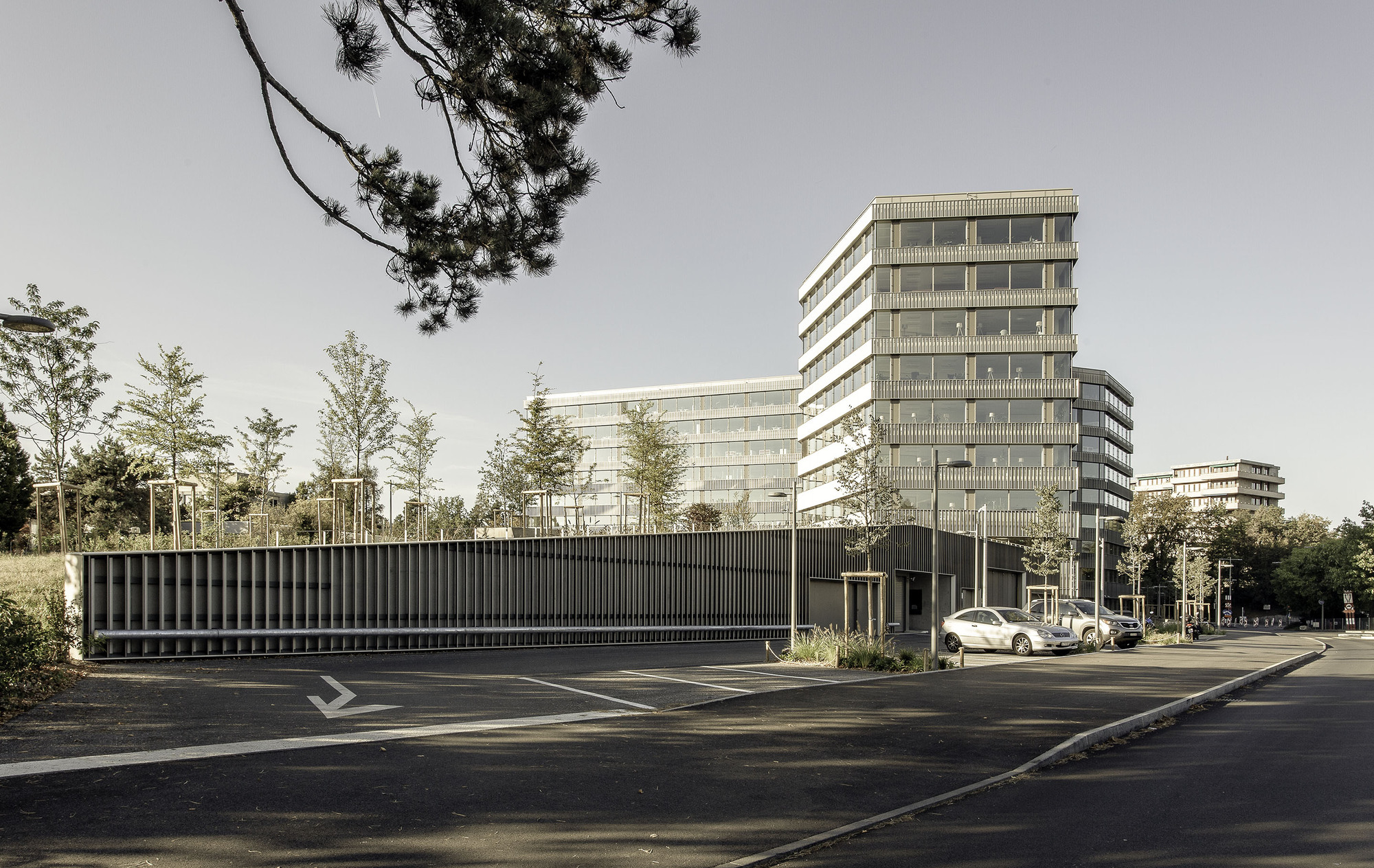 Low-rise ribbed volume with parking area and young trees under an overcast sky