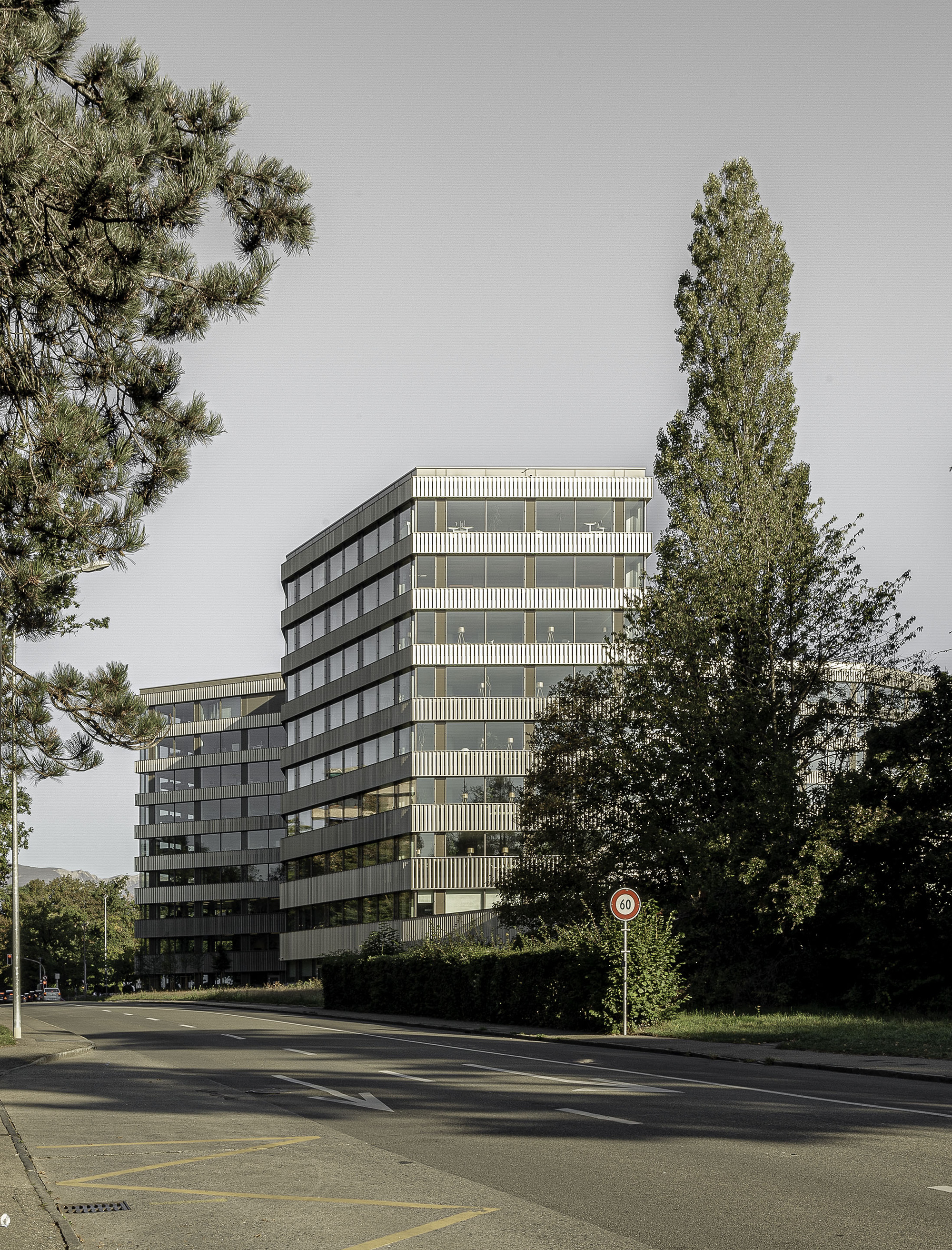 Street view of the louvered tower framed by a pine and poplar tree