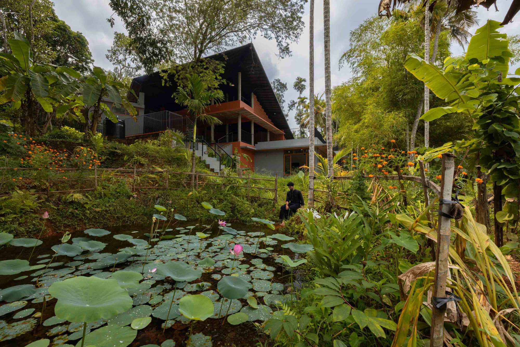 Terraced residence viewed from a lily pond surrounded by banana plants and tropical foliage