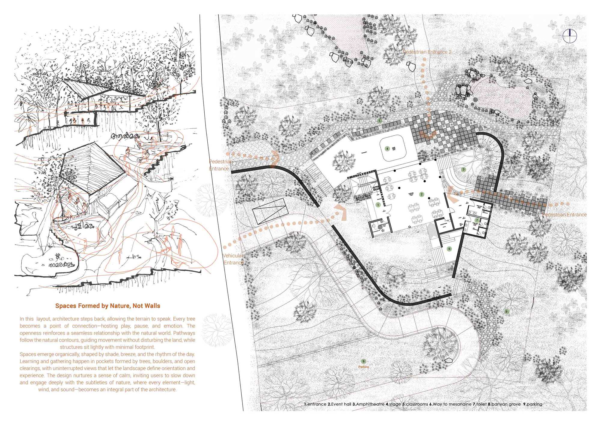 Site plan and landscape drawing showing curving pathways, planting beds and building footprint