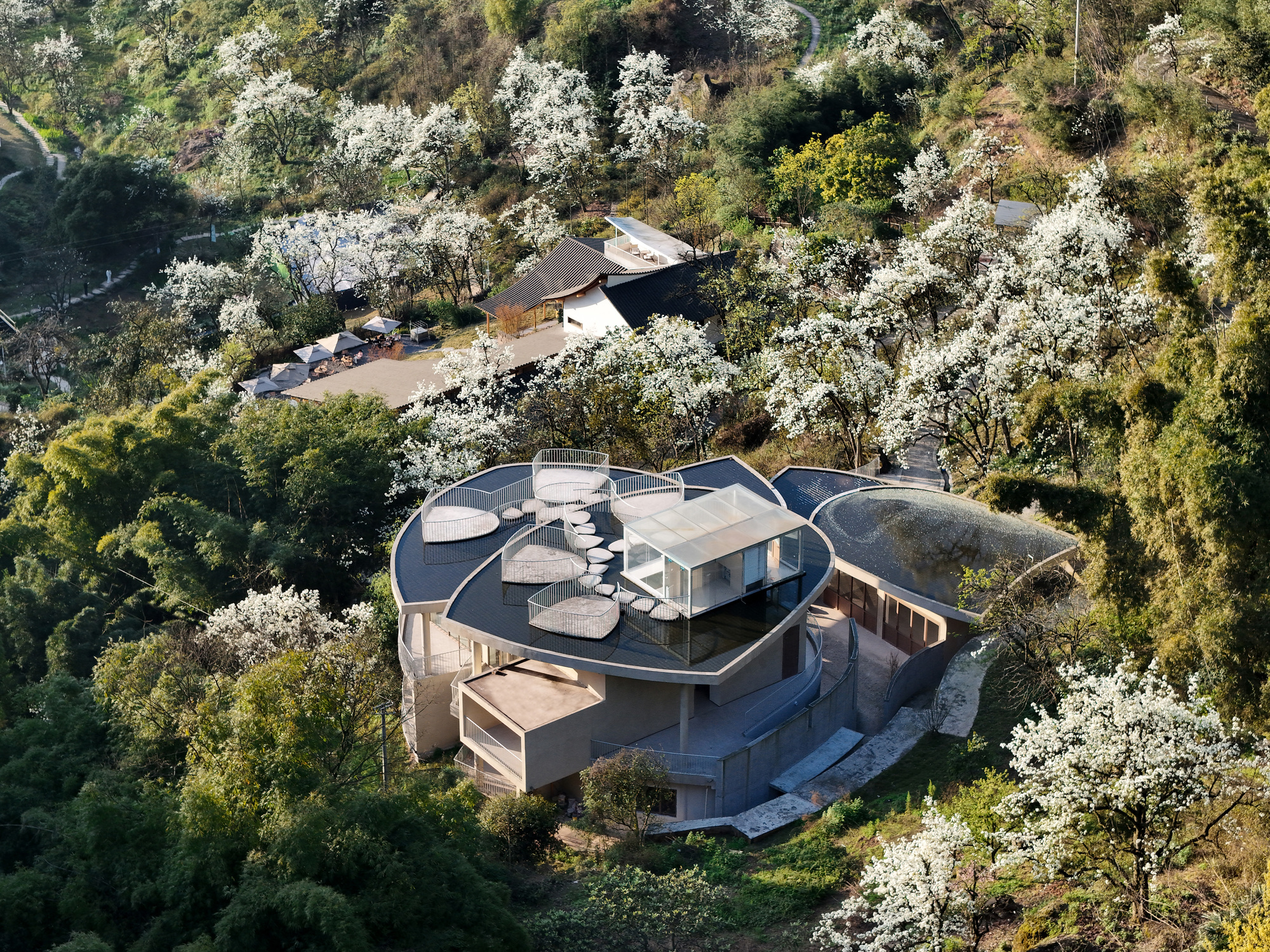 Aerial view of the cloverleaf-shaped roof structure nestled among flowering trees and dense vegetation