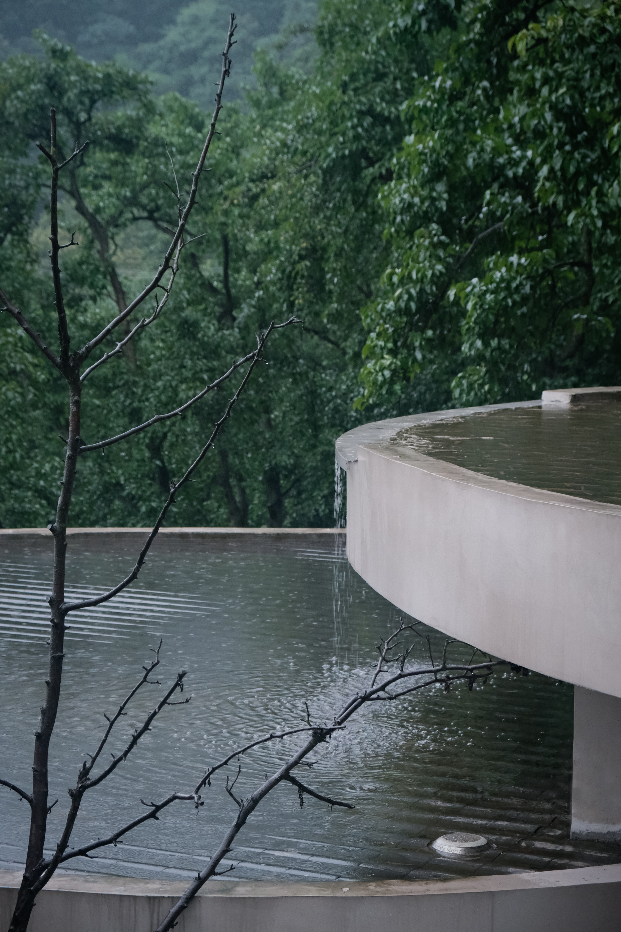 Curved concrete terrace edge with rainwater overflow beside bare tree branches in wooded setting