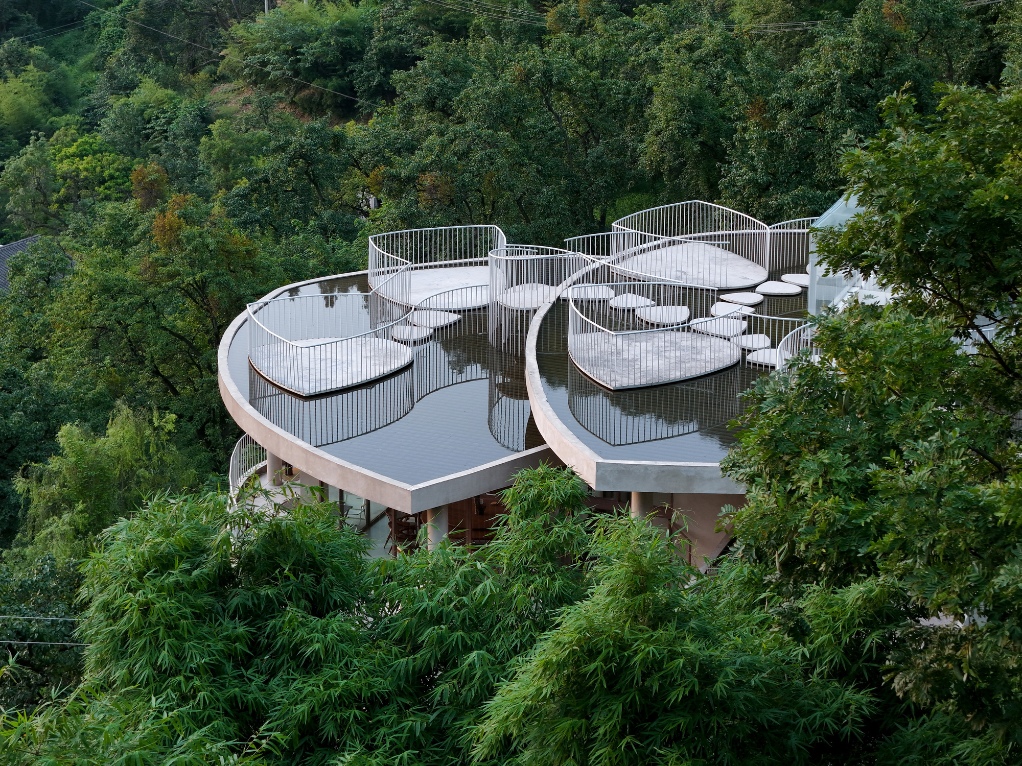 Elevated view of organic roof forms with vertical slat railings surrounded by dense forest canopy