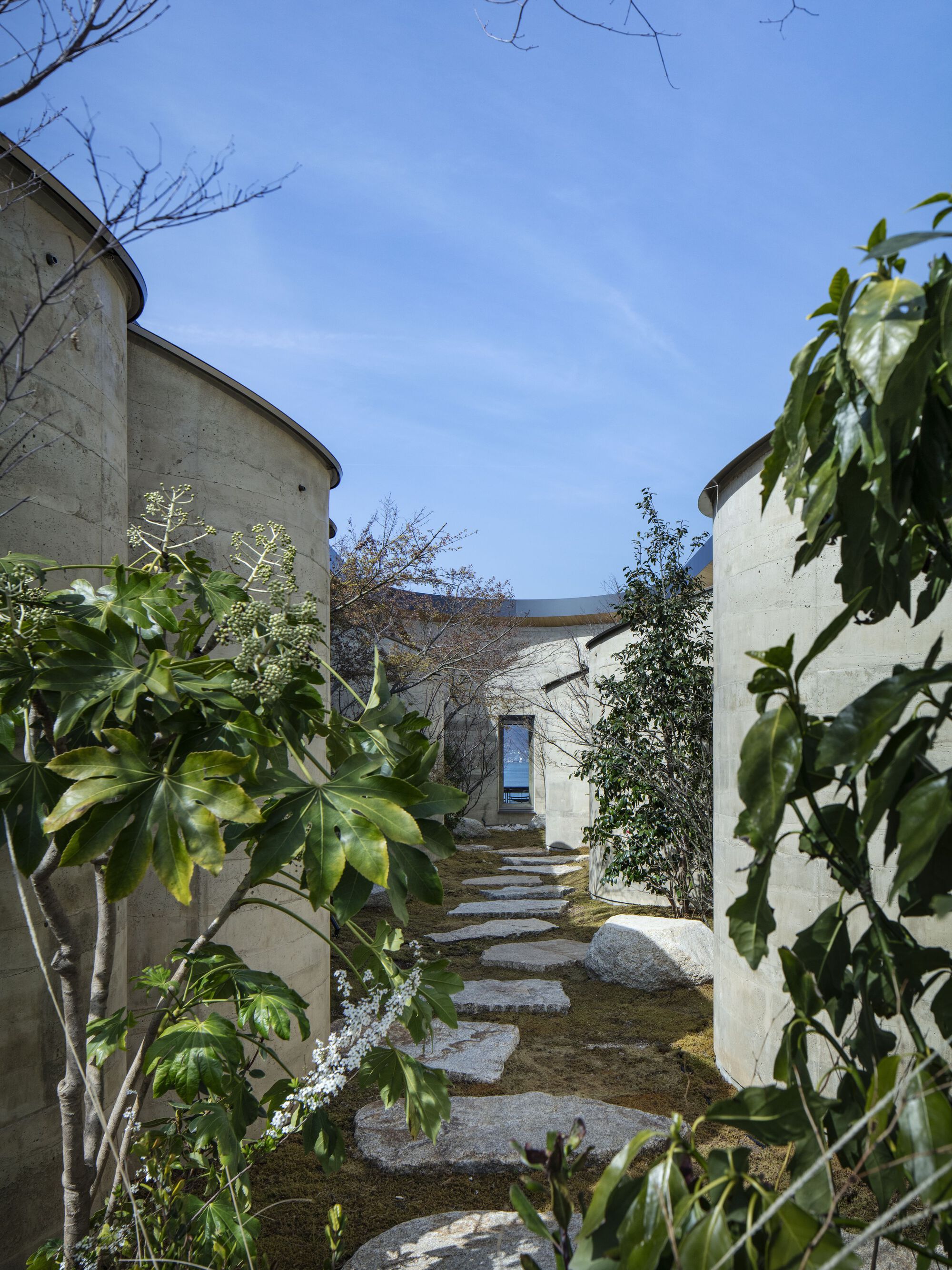 Stepping stone path through a planted courtyard framed by curving concrete walls and leafy vegetation