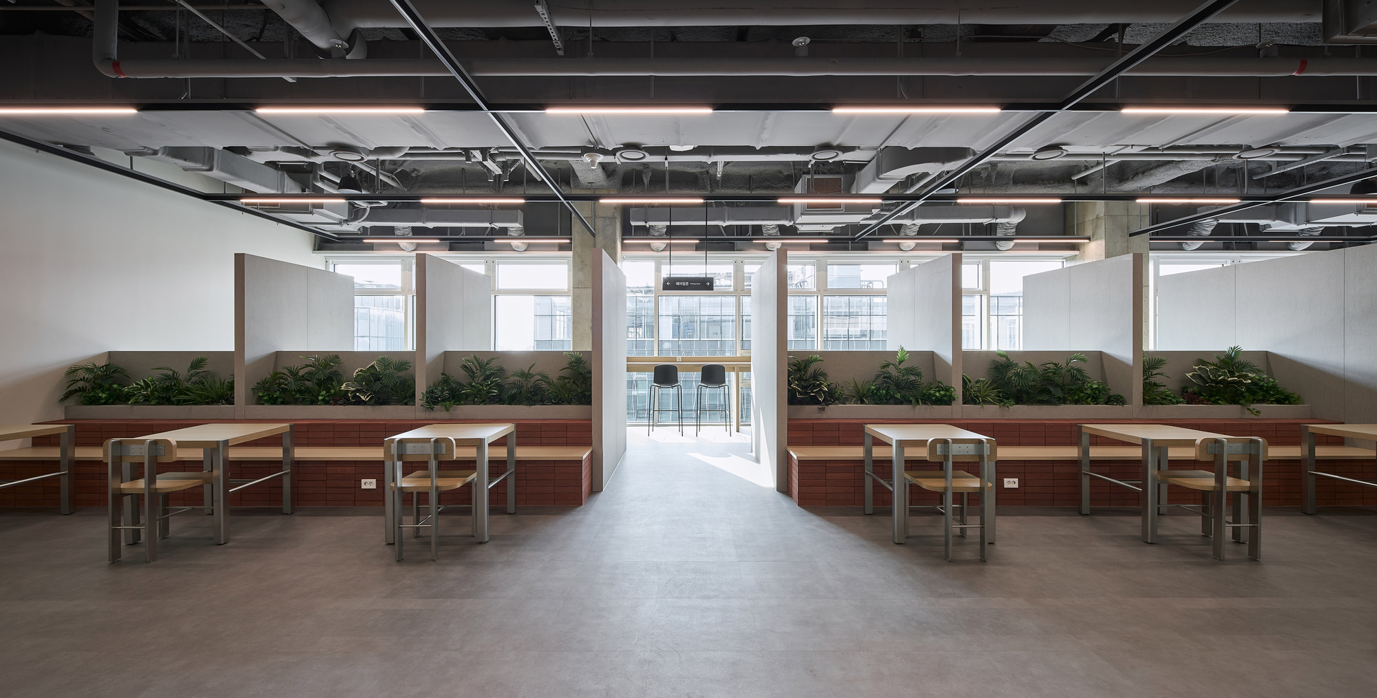 Symmetrical reading room with timber benches, planted beds, and exposed ceiling ducts under linear lighting