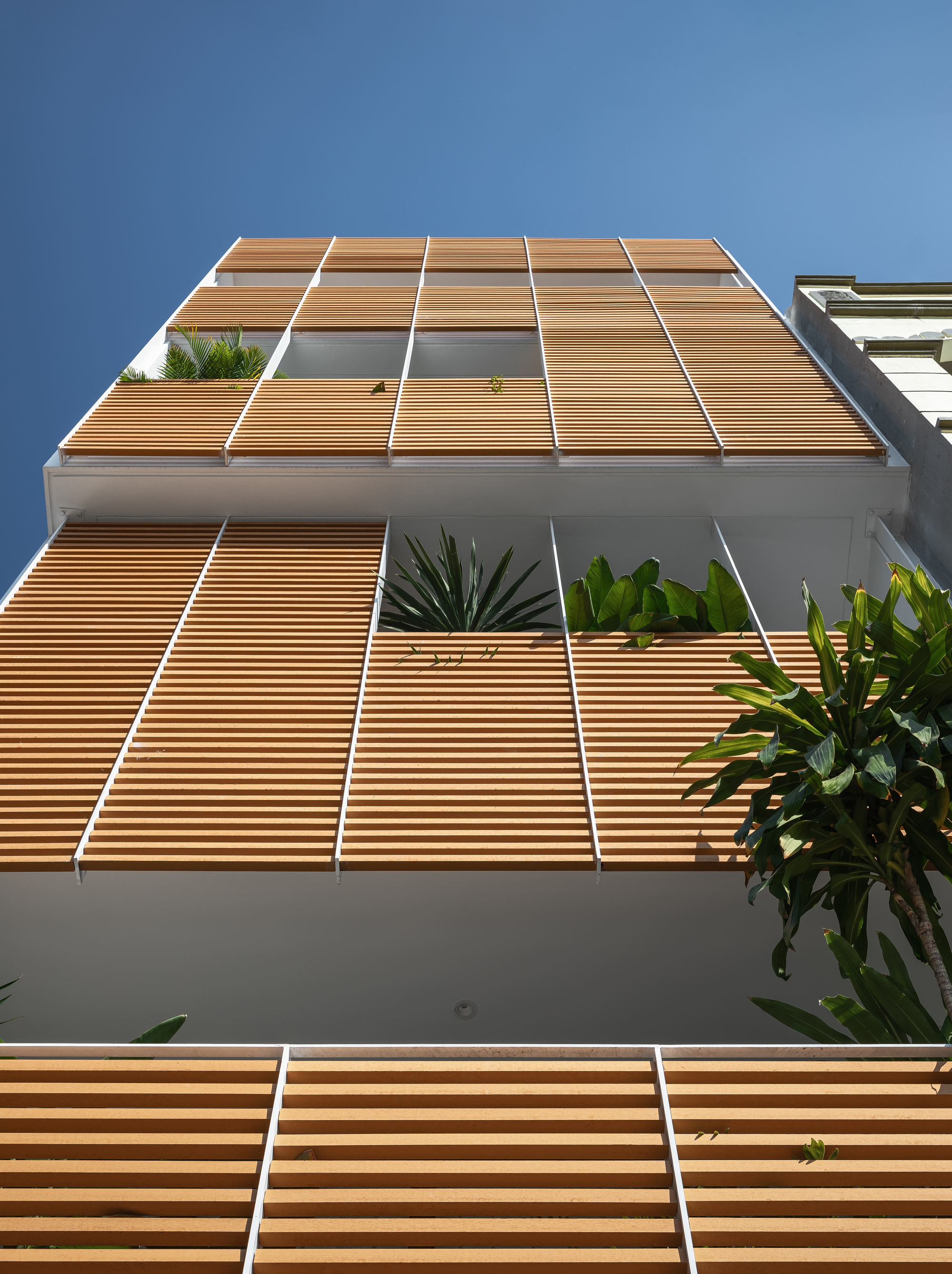 Upward view of the timber louvered facade grid with recessed planters and white framing against a blue sky