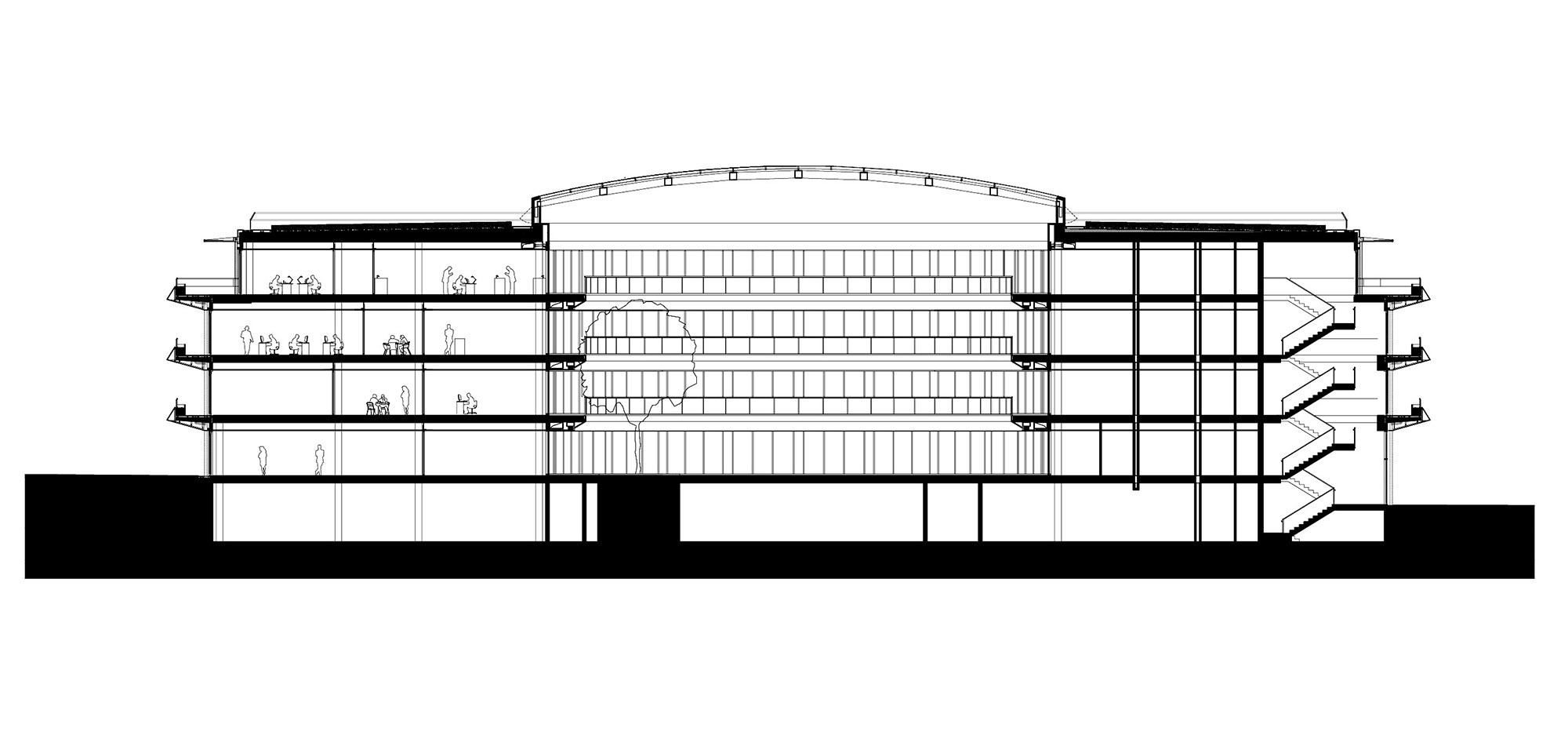 Section drawing revealing multiple stacked floors and a central glazed atrium with curved roof
