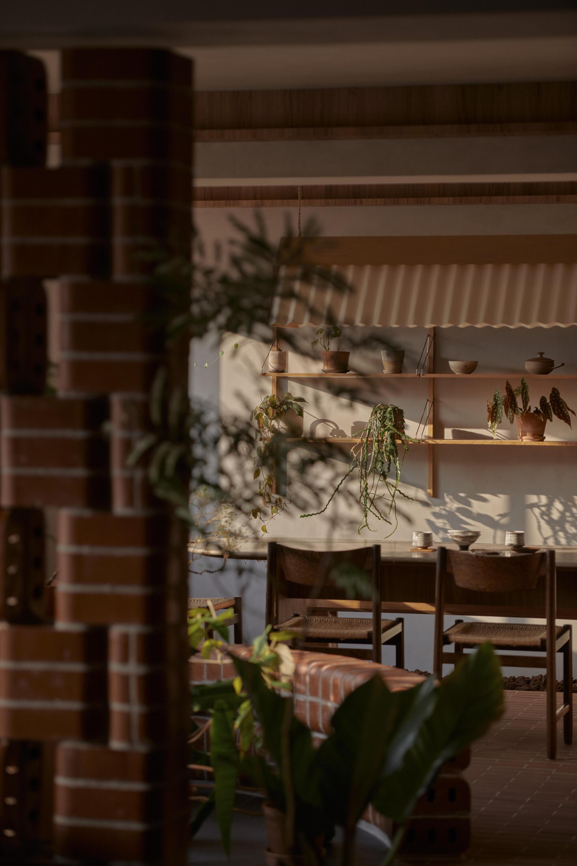 Interior dining area with timber shelving and potted plants casting dappled shadows through corrugated screening