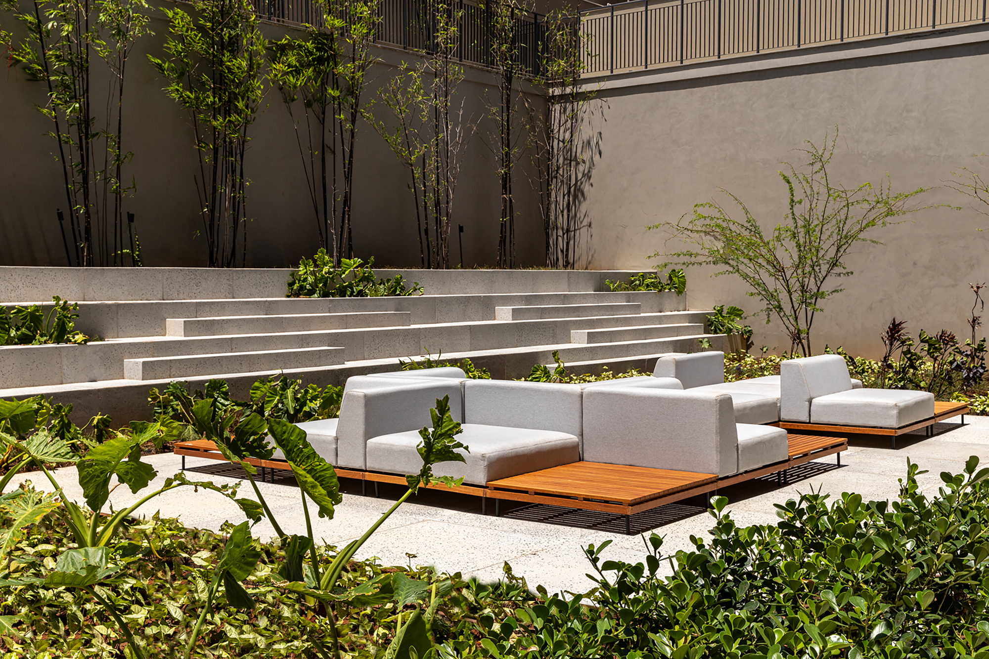 Tiered concrete seating steps with integrated planters and bamboo against a charcoal wall