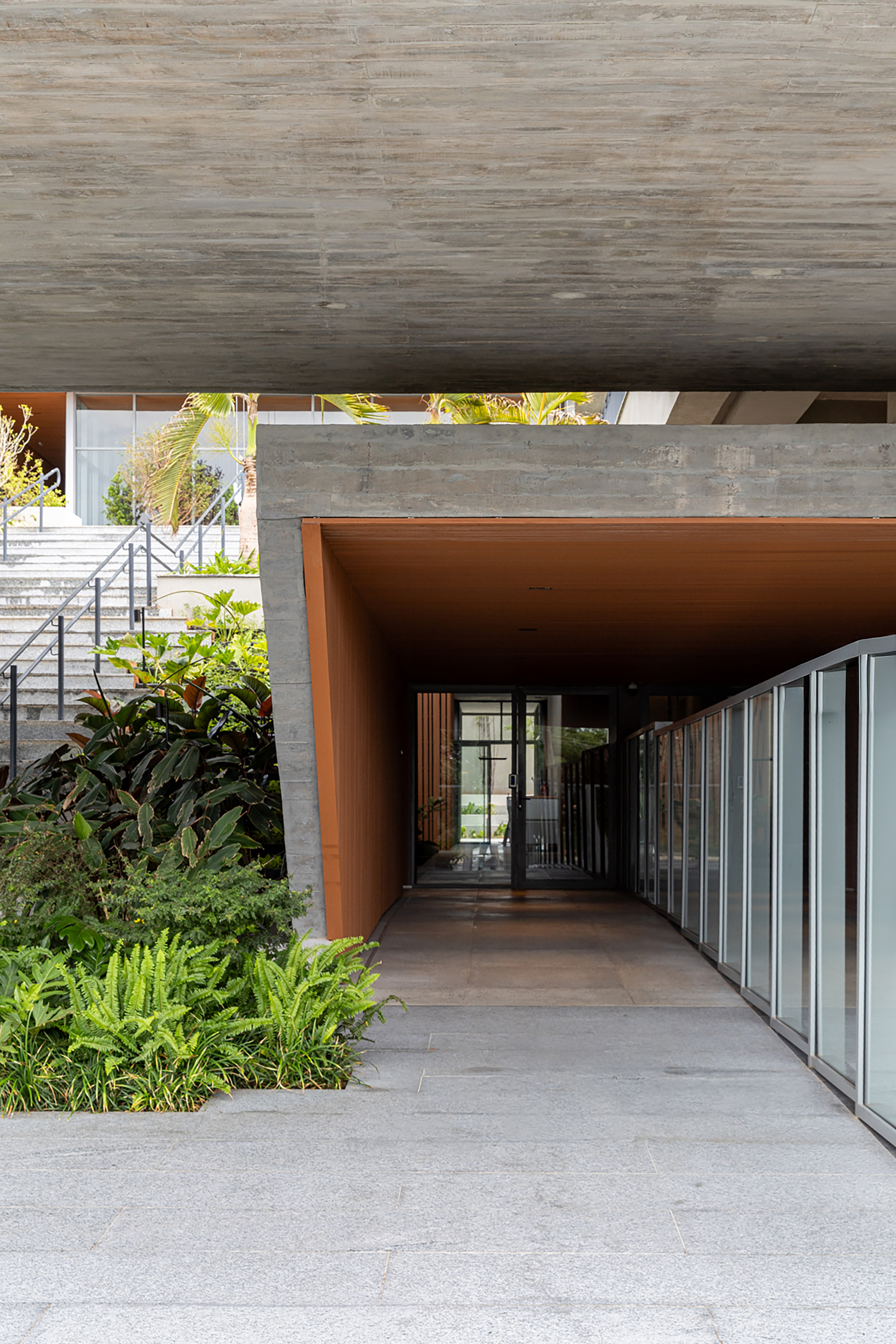 Covered passageway with timber-lined soffit, corrugated metal cladding and planted beds along concrete paving