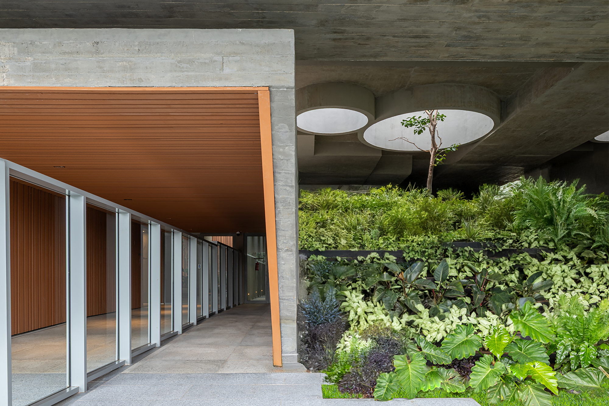 Covered terrace with timber soffit, sliding glass doors and circular skylights above layered garden beds
