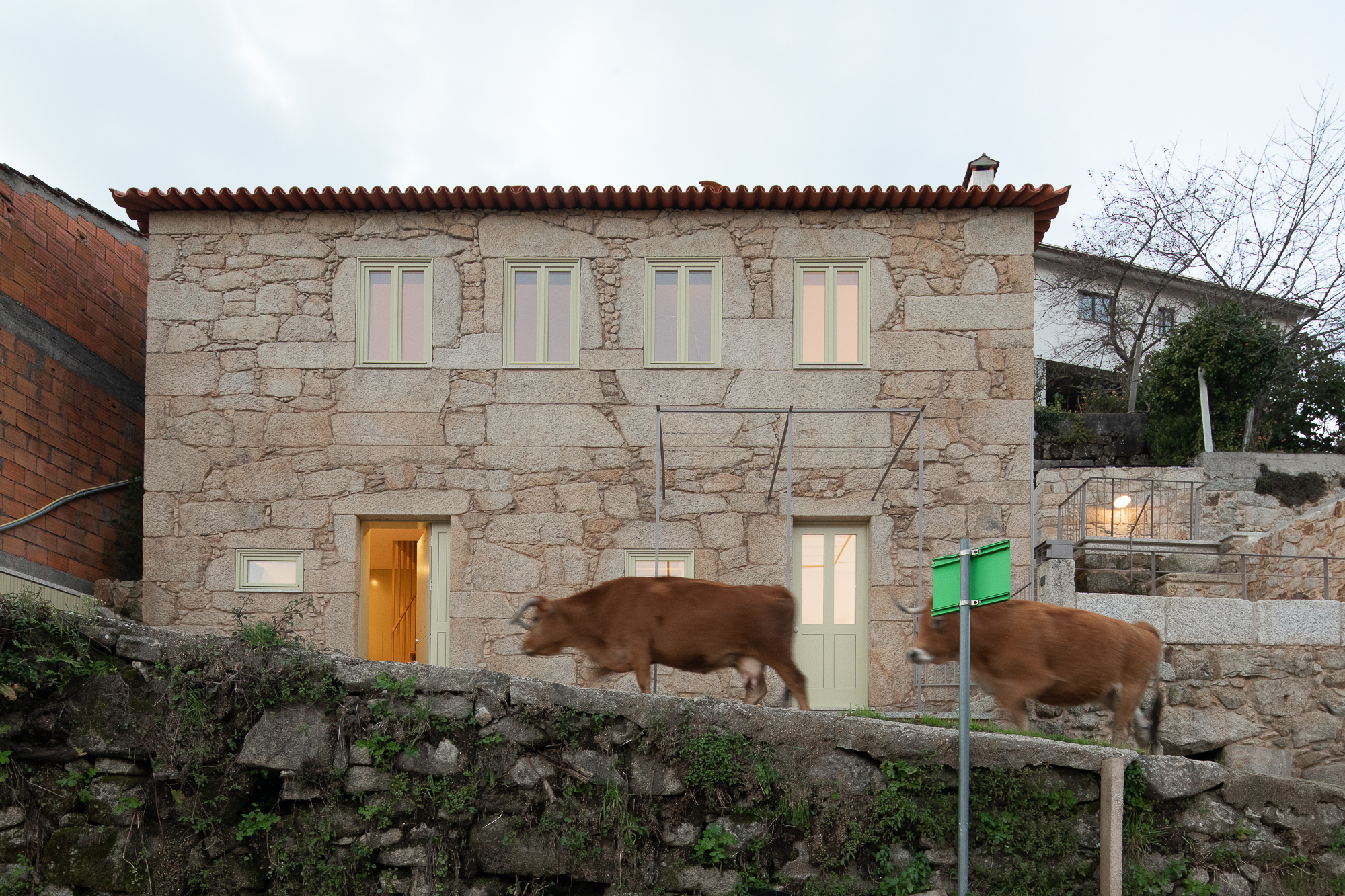 Front elevation of granite house with red tile roof as two cows cross the stone terrace