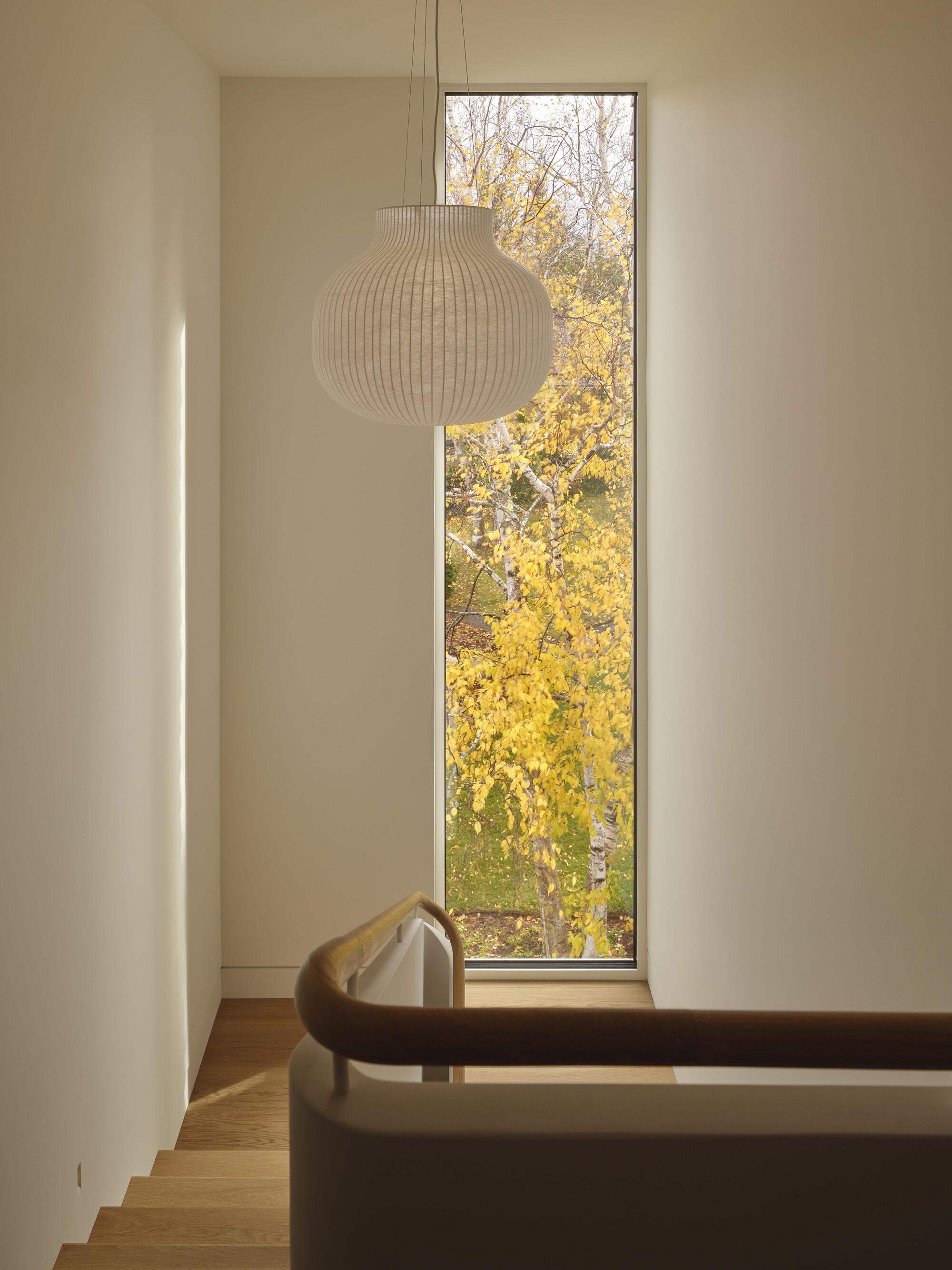 Tall window framing yellow autumn foliage with a ribbed pendant light and timber stair handrail