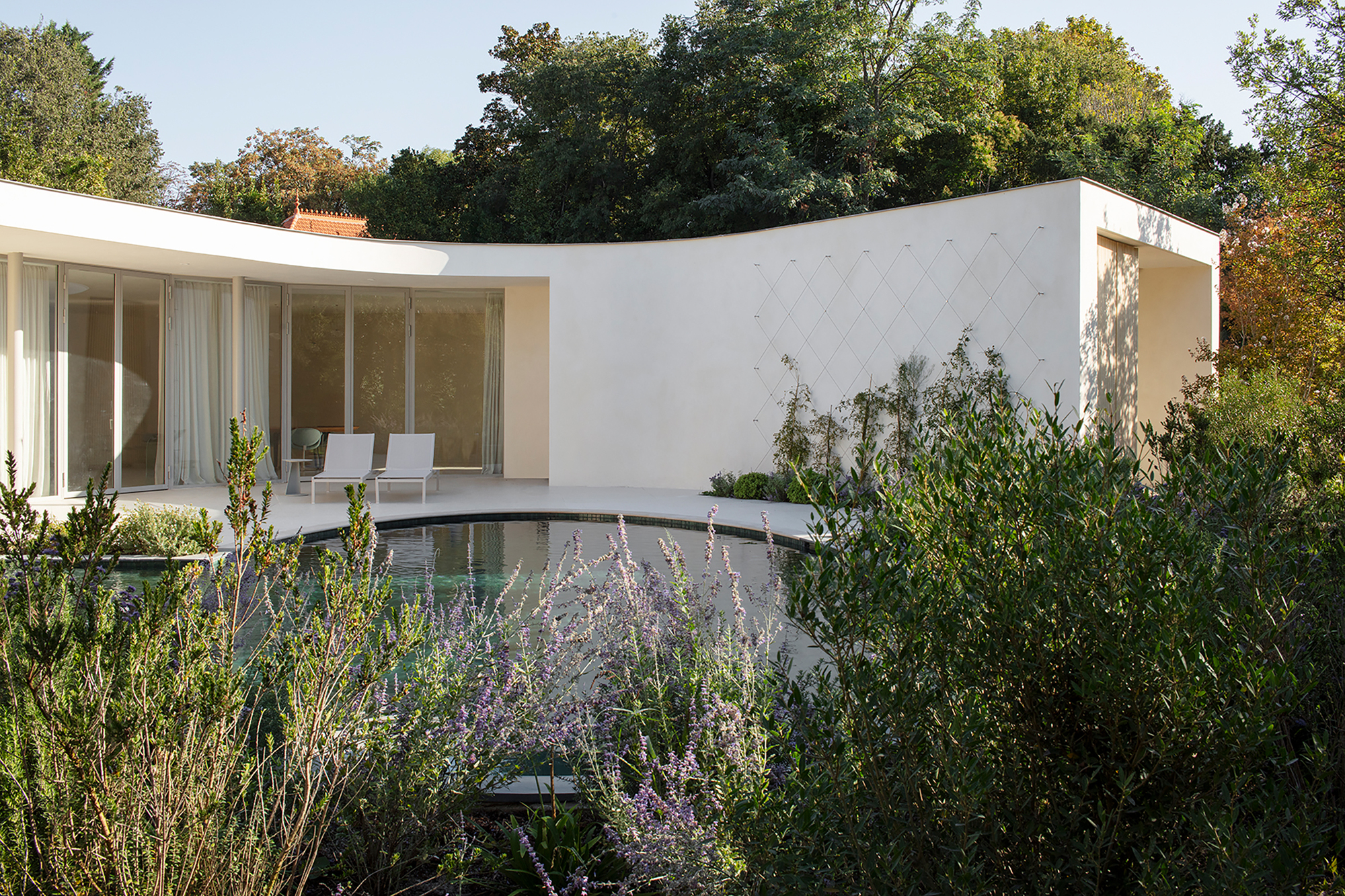 Exterior terrace with dark pool and lavender plantings below the glass-walled pavilion and curved white wall
