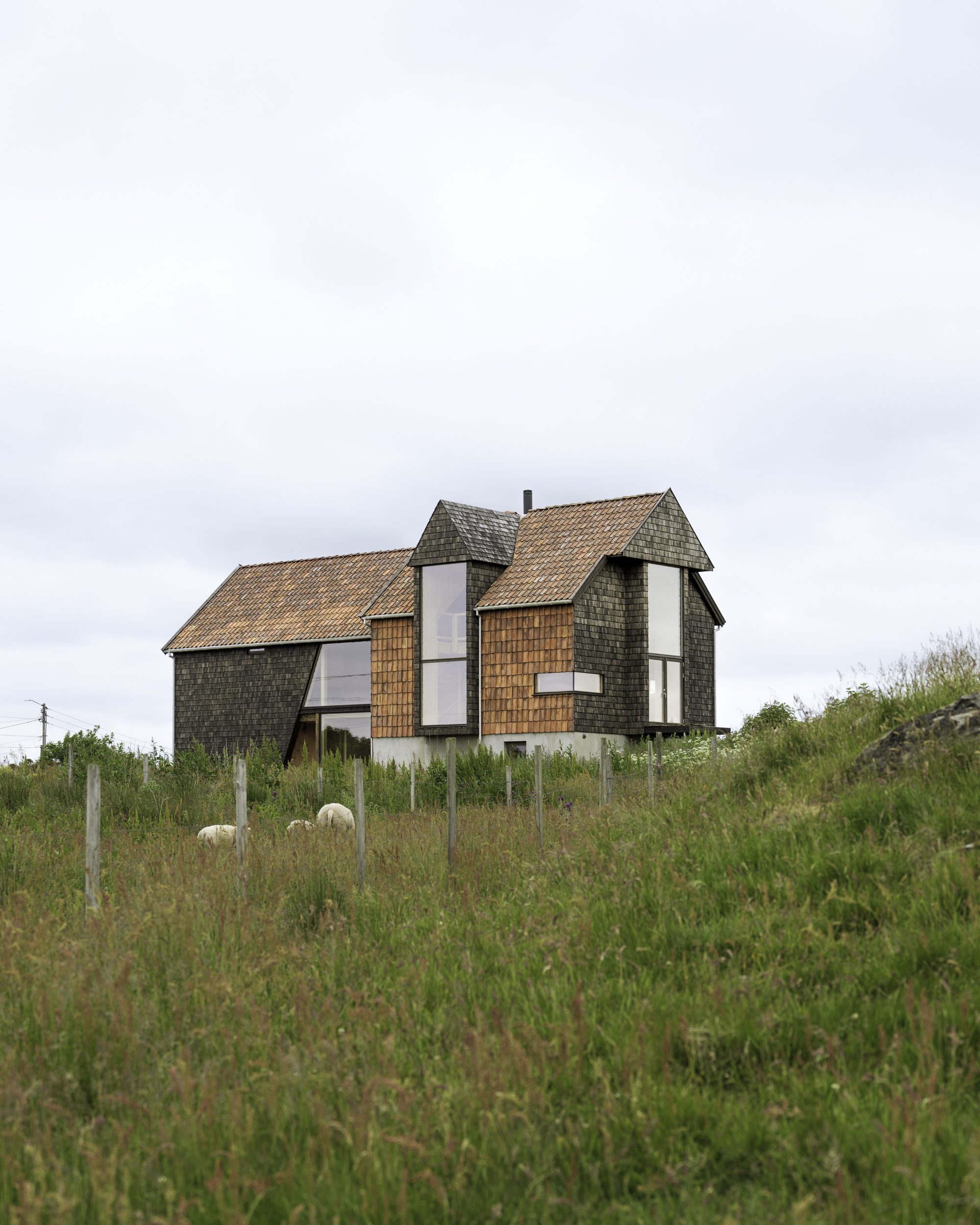 Cluster of gabled volumes clad in weathered shingles and timber with sheep grazing below