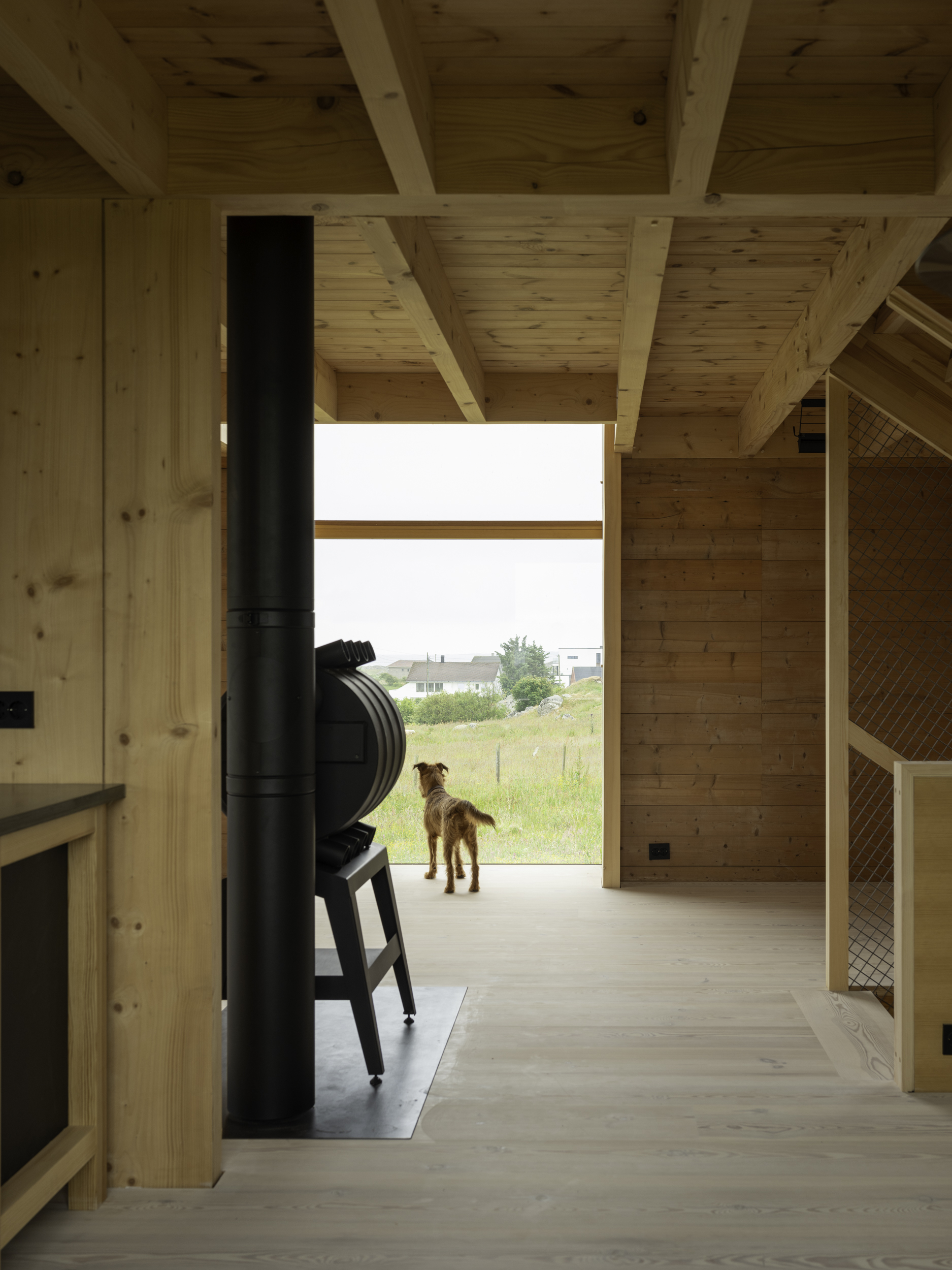 Interior hallway with exposed timber beams and a dog standing in the doorway