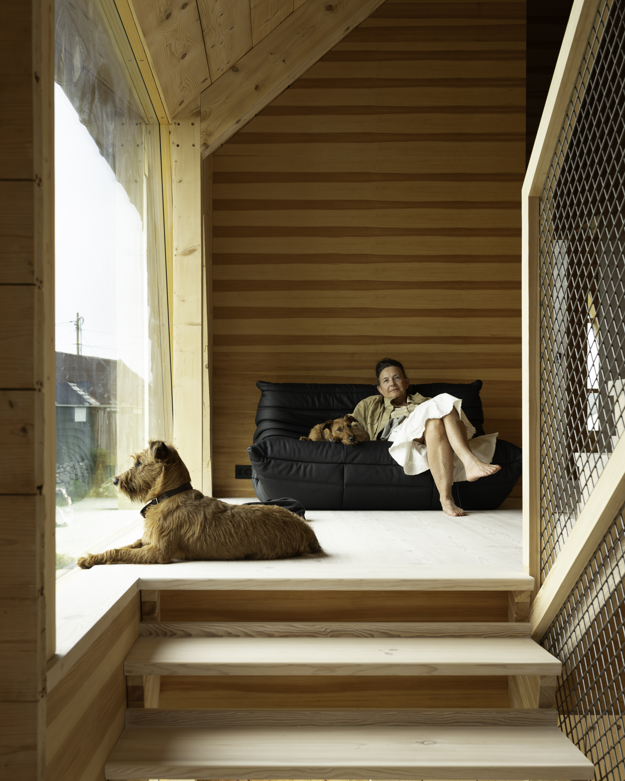Raised platform seating area with timber steps and a dog resting in afternoon sunlight