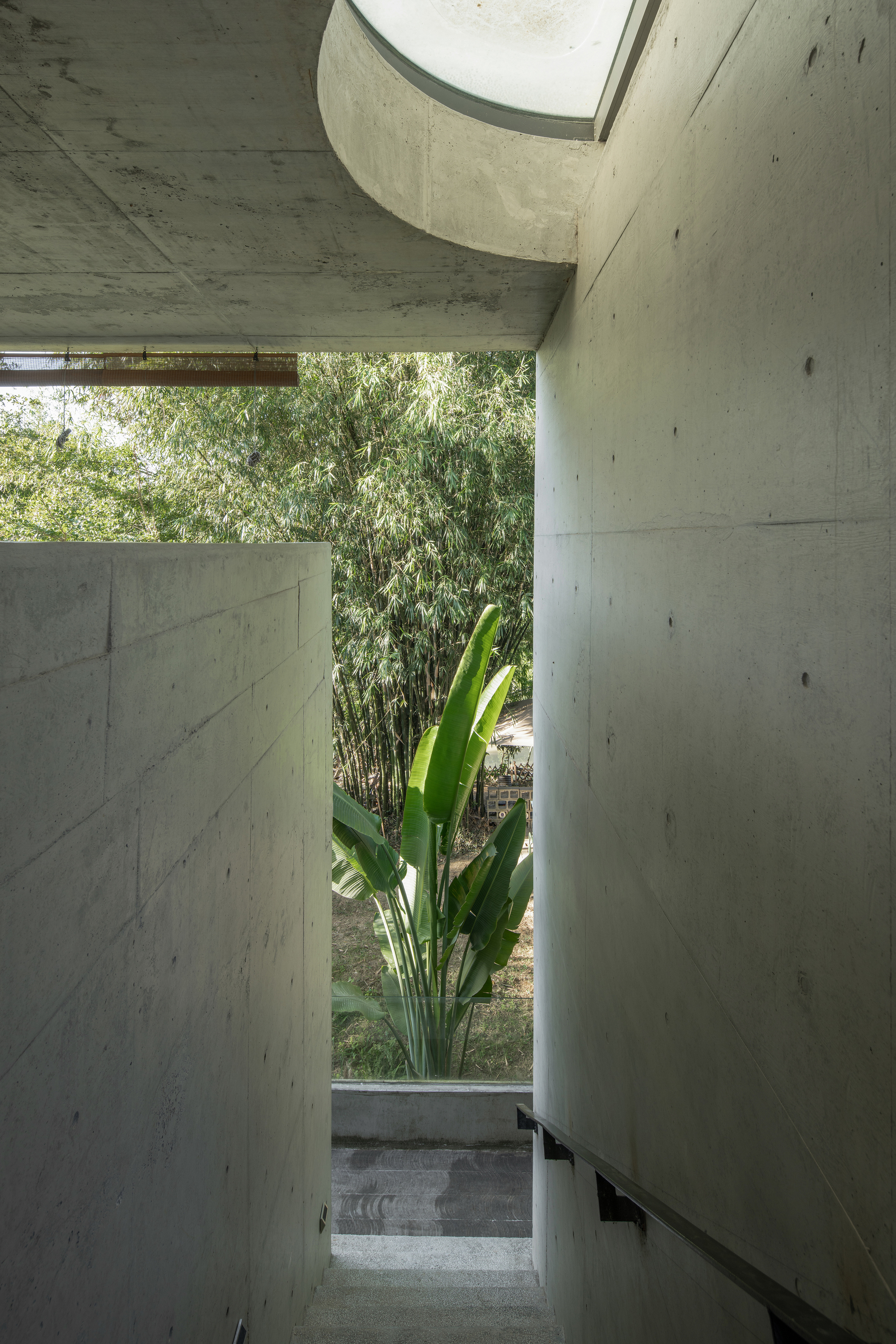 Concrete passageway opening to a planted courtyard with bamboo and bird of paradise beneath a circular skylight