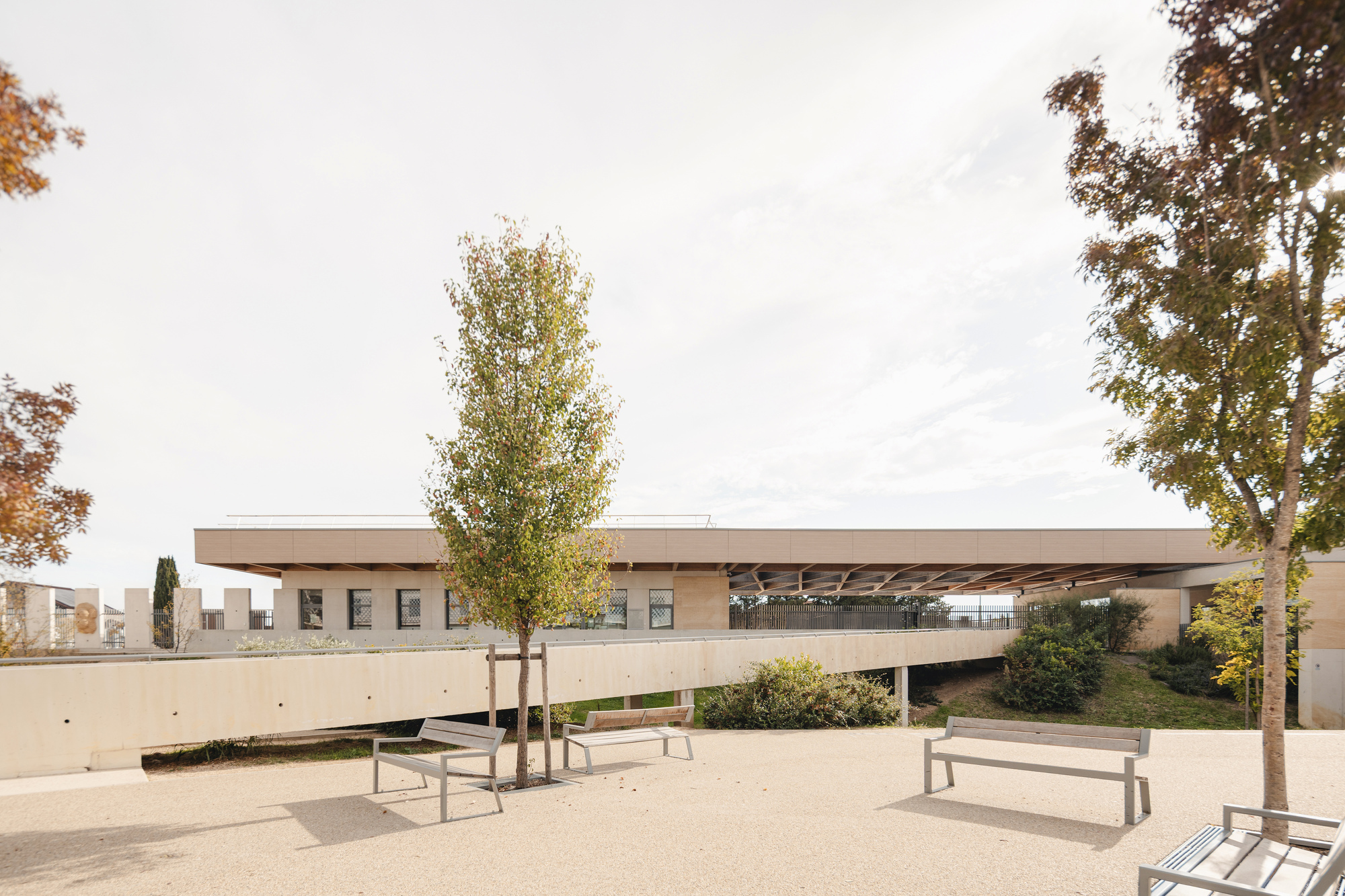 Courtyard plaza with metal benches and young trees beneath the elevated building volume