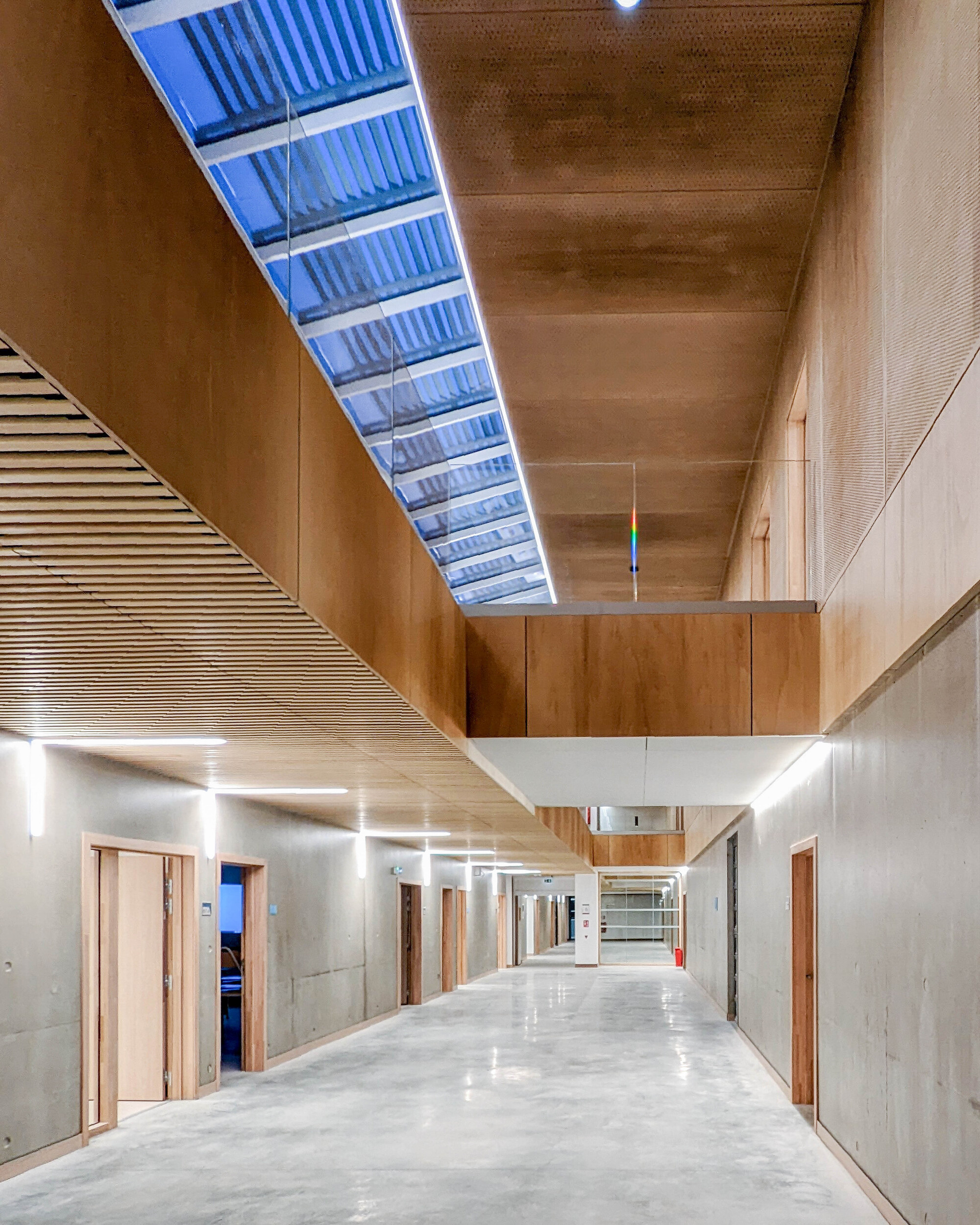 Double-height corridor with perforated timber ceiling panels and a linear skylight above polished concrete floors