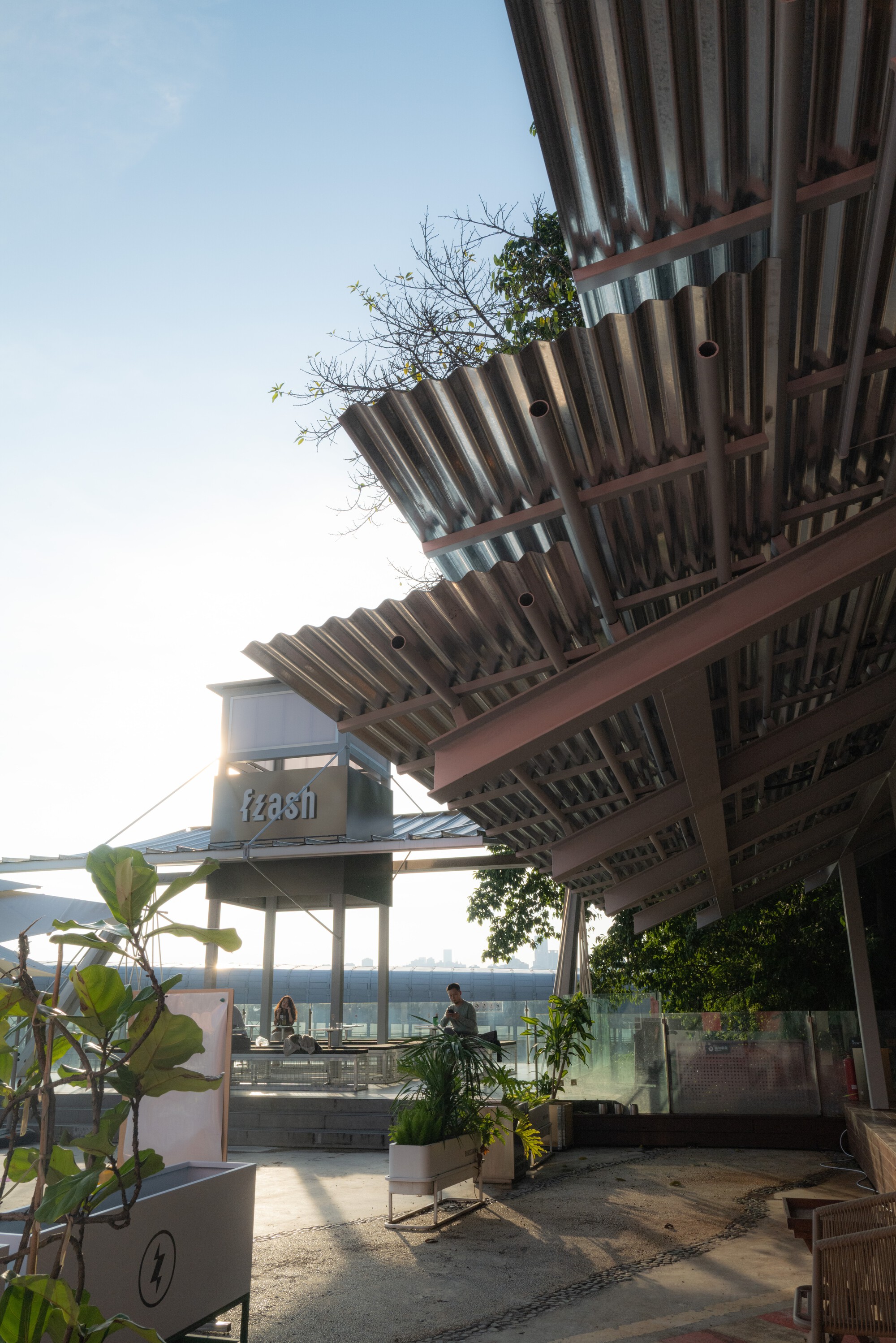 Underside of corrugated metal canopy with timber battens and tropical plantings below