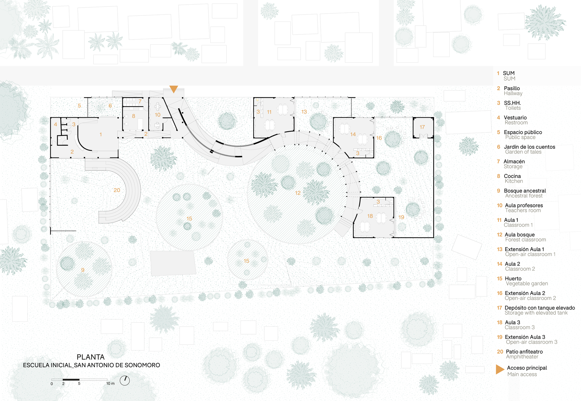 Floor plan drawing showing curved circulation paths connecting classroom volumes around a central courtyard with tree symbols