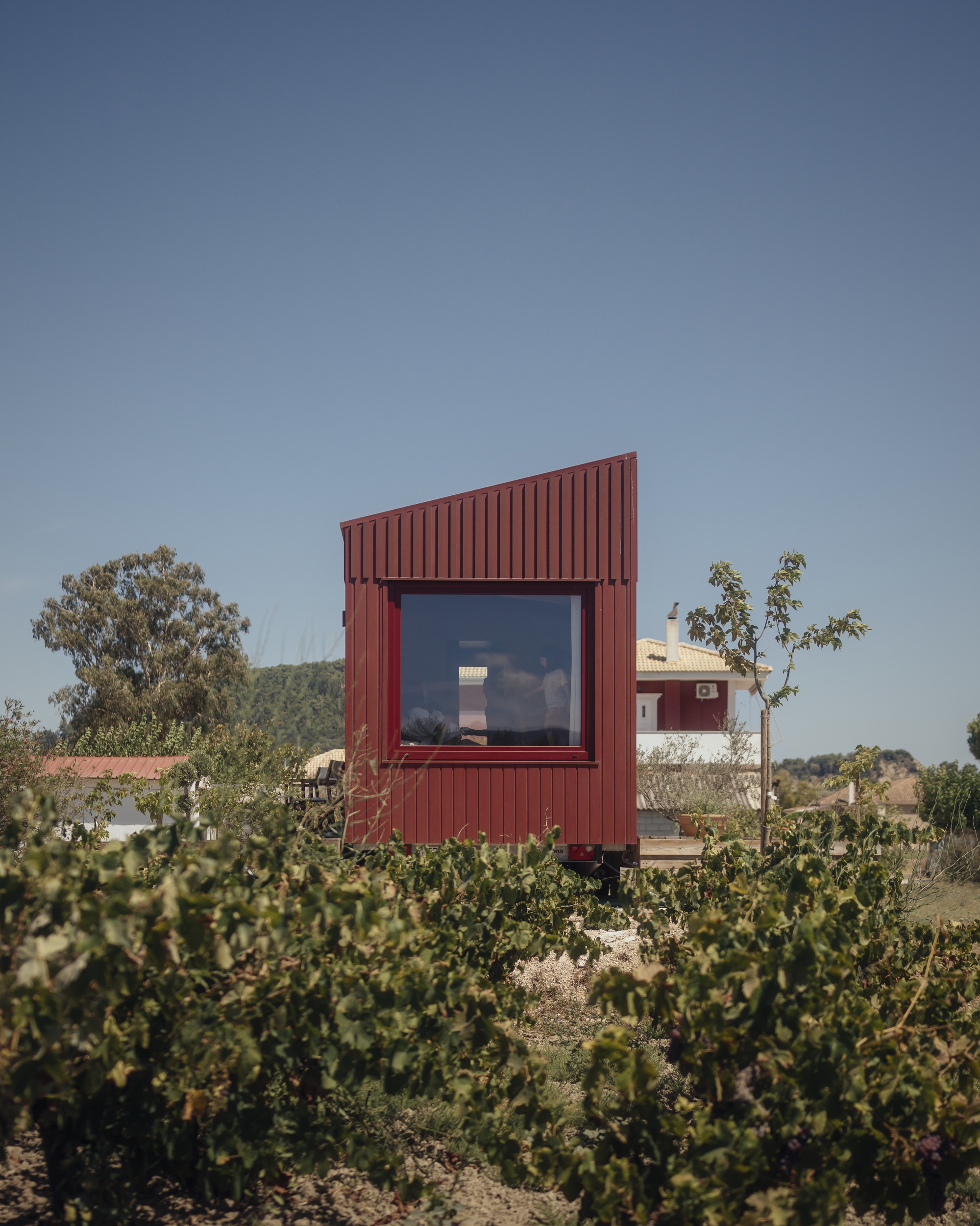 Front elevation showing vertical corrugated cladding and a single square window framed by grapevines