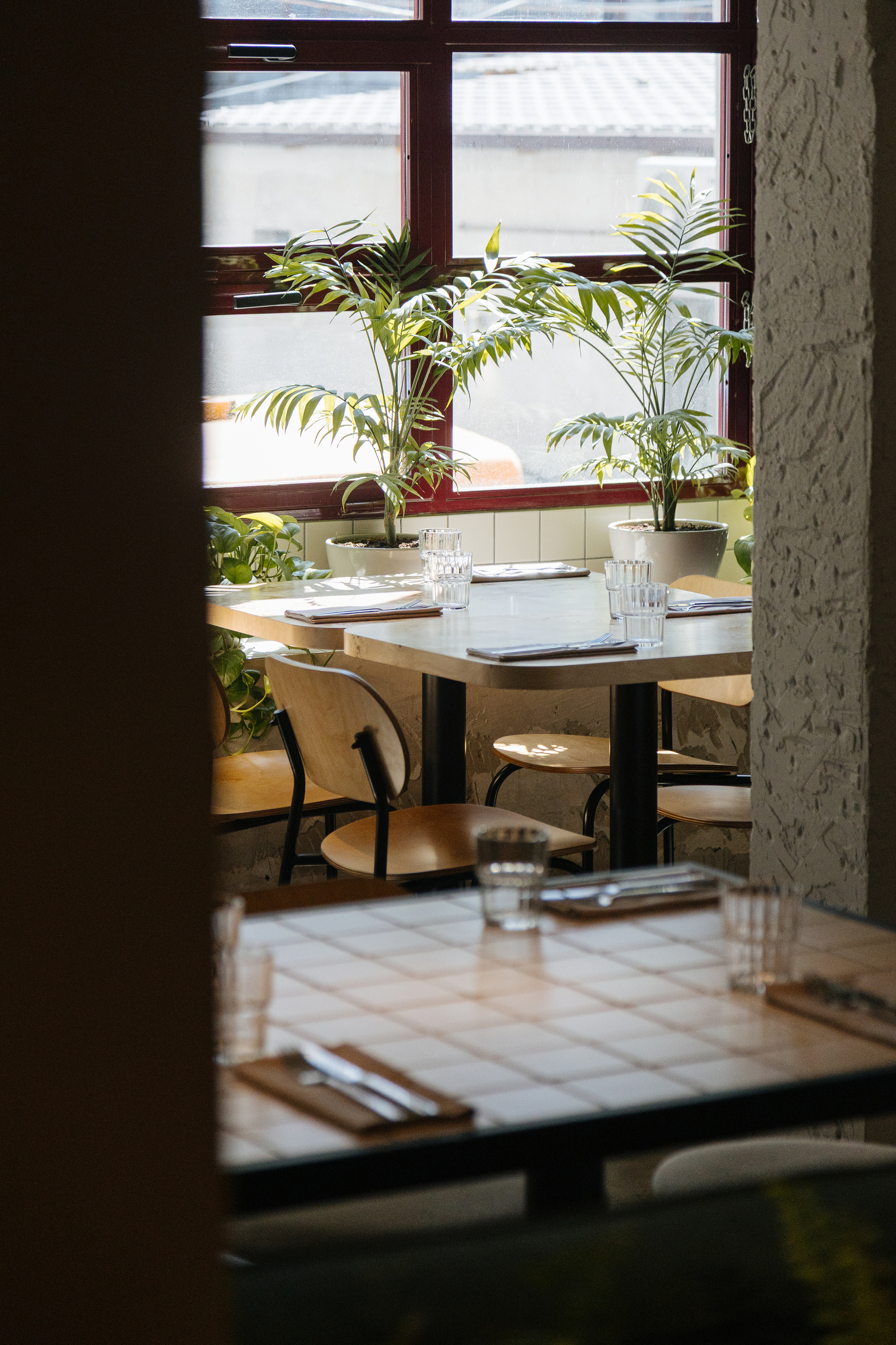 Dining tables set beneath a window with potted palms on the sill in daylight