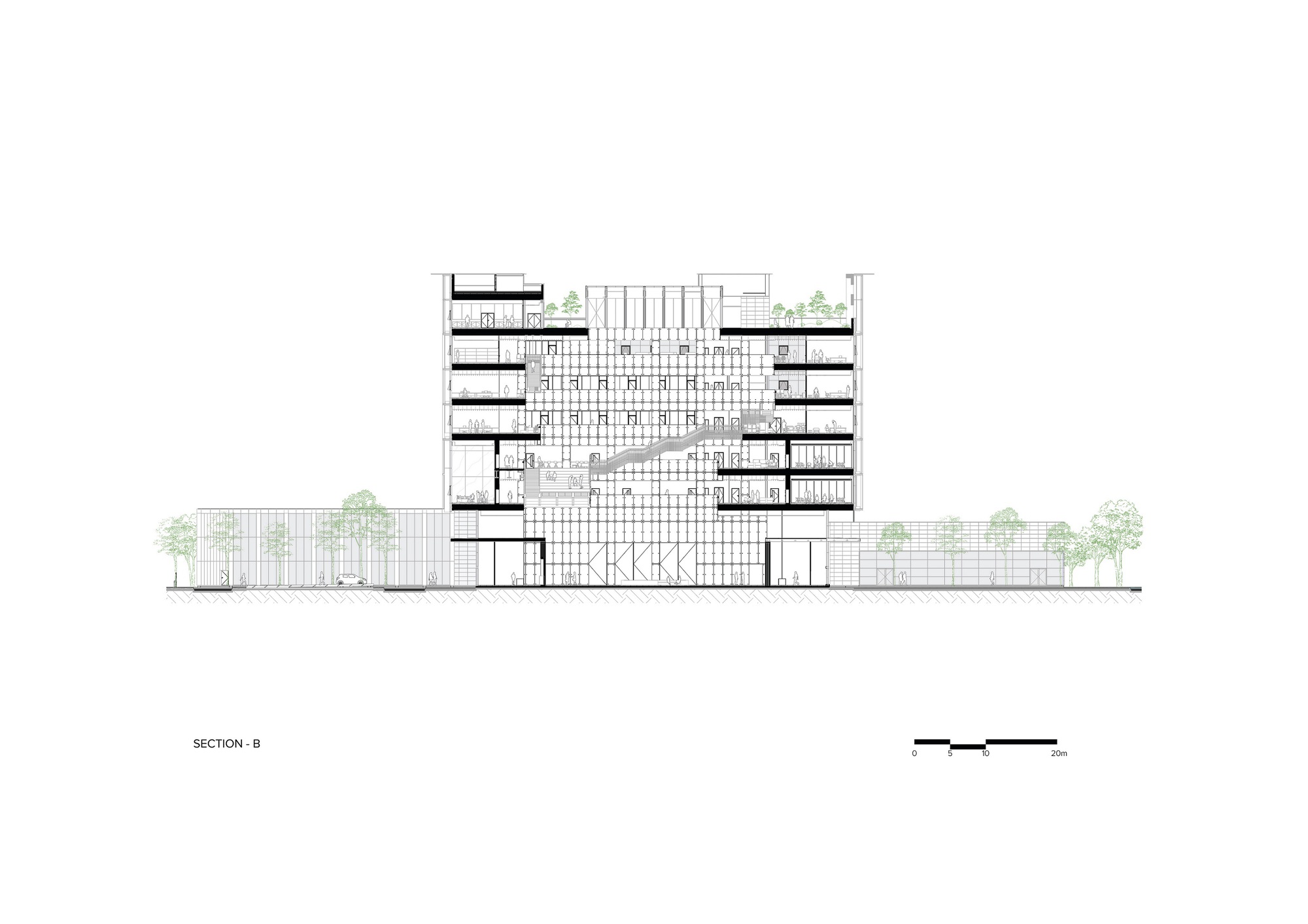 Section drawing showing interior spaces with a grand staircase and surrounding trees