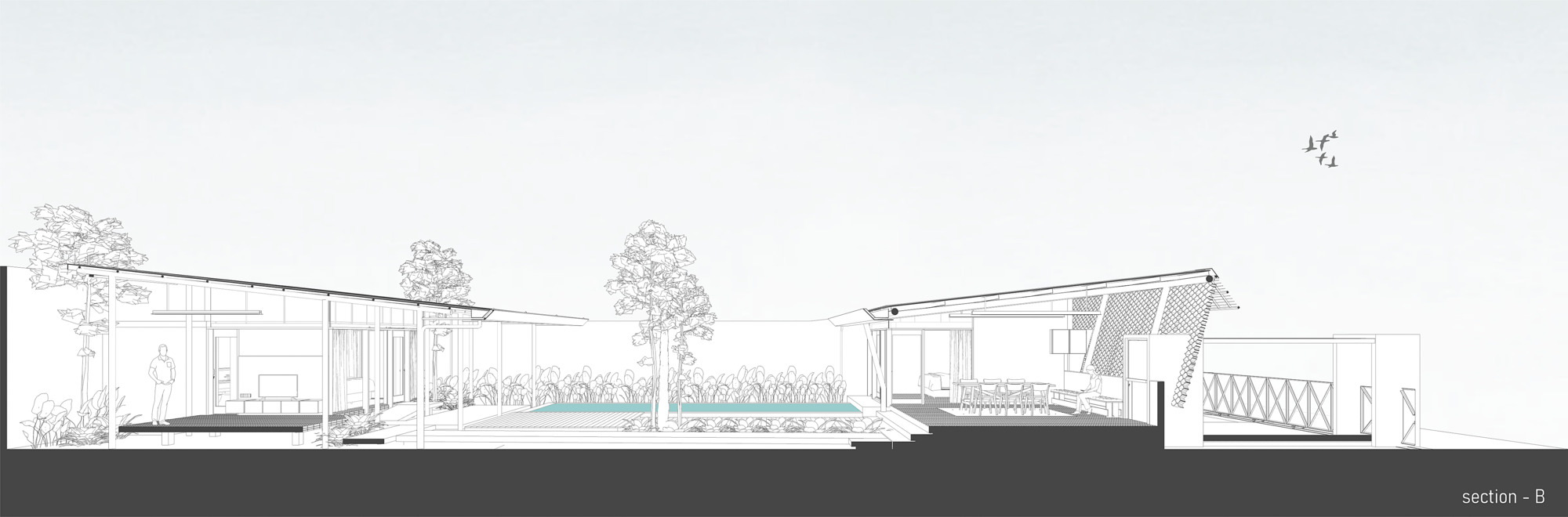 Section drawing revealing the relationship between living volumes, pool, planted areas, and sloped roof forms
