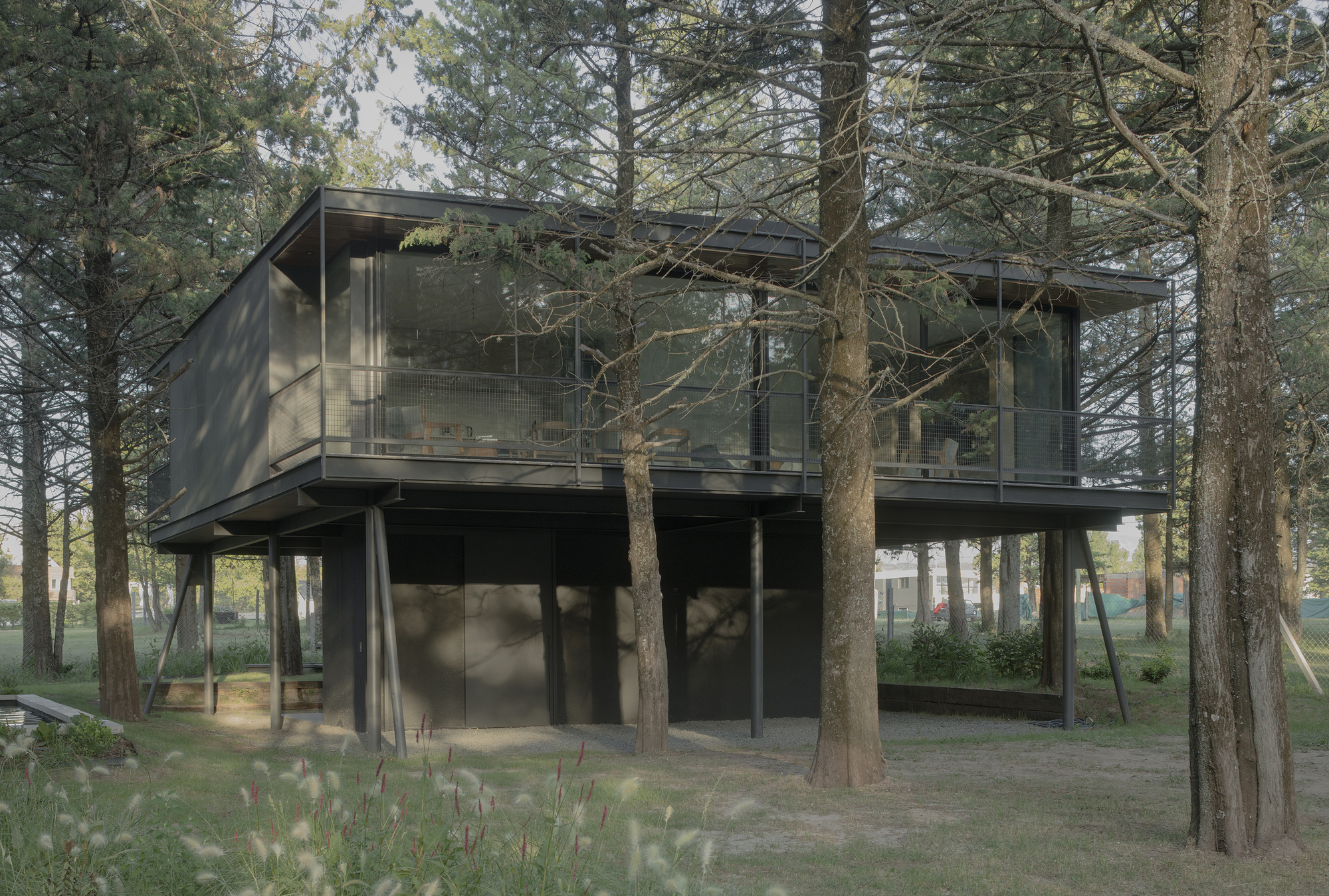 Elevated glass and metal volume on steel columns among mature pine trees in diffused daylight