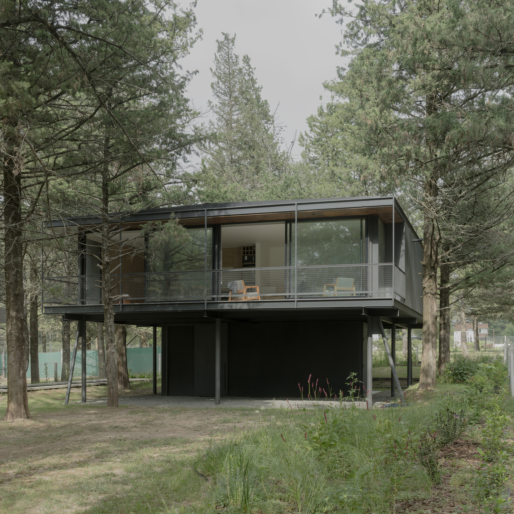 Full elevation of the raised pavilion with wraparound glass balcony amid tall pines and wild grasses