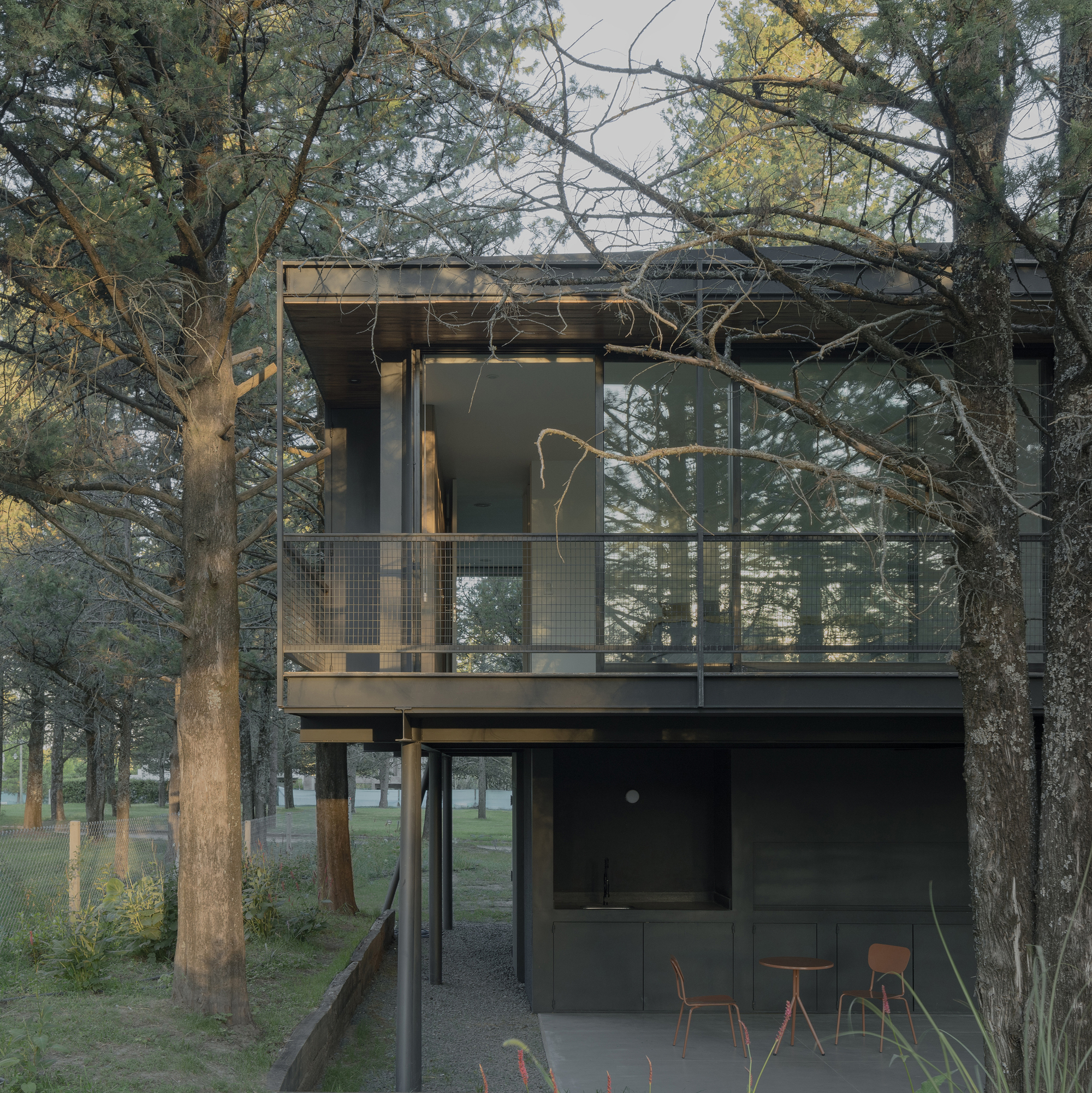 Two-story timber and steel volume on pilotis nestled among pine trees in afternoon light
