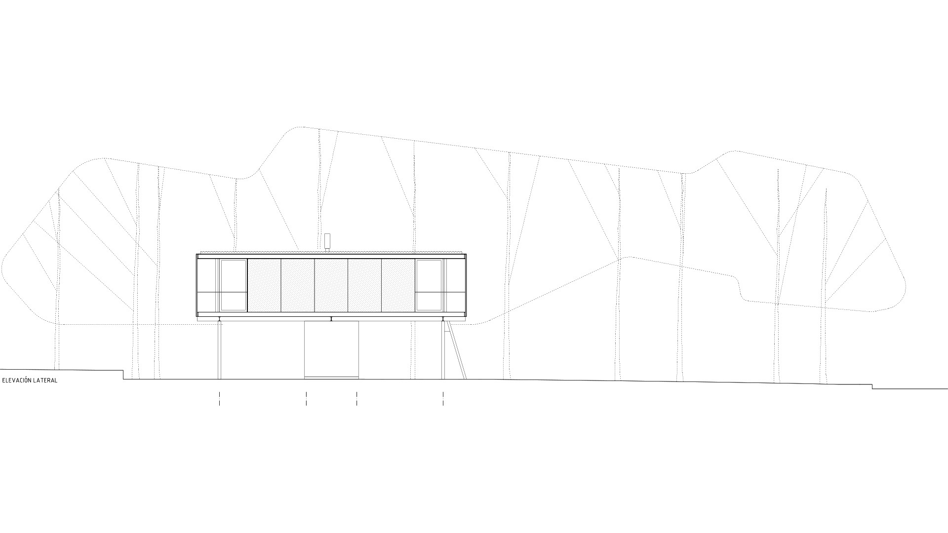 Elevation drawing showing the elevated glazed volume on stilts among surrounding trees