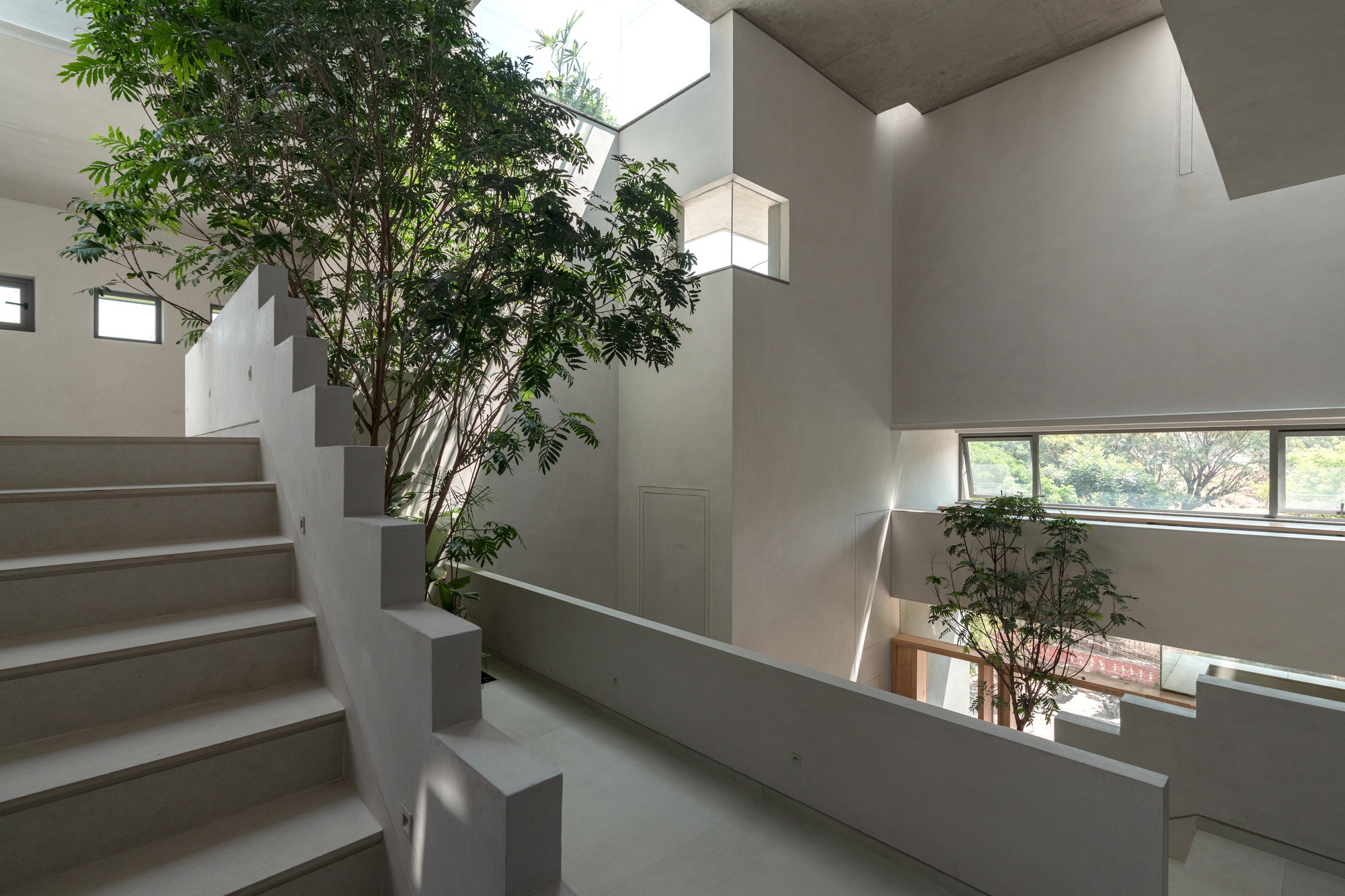Interior stairwell with white concrete steps wrapping around a central planted tree