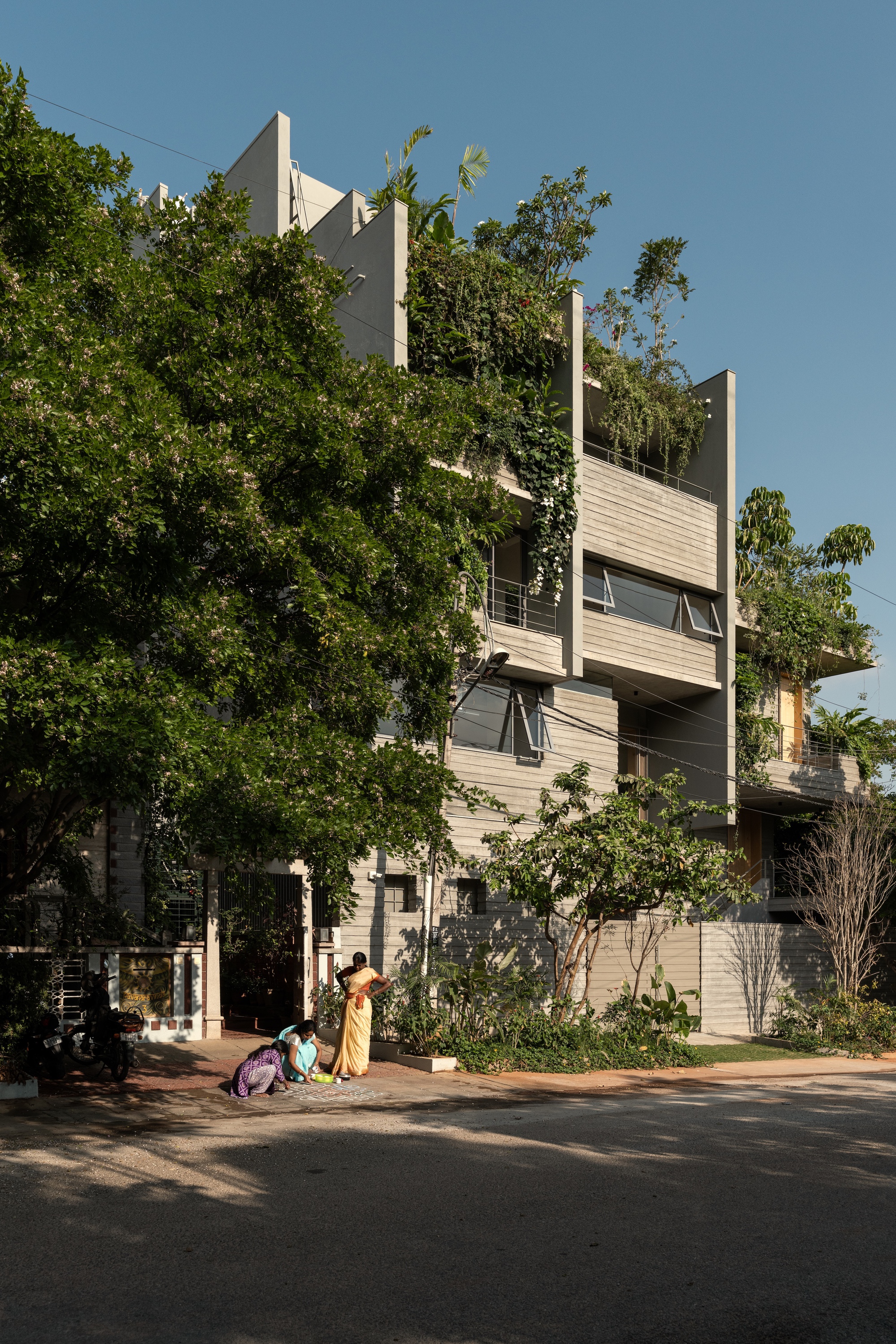 Street view of stacked volumes with horizontal louvres emerging from dense tree canopy at dusk