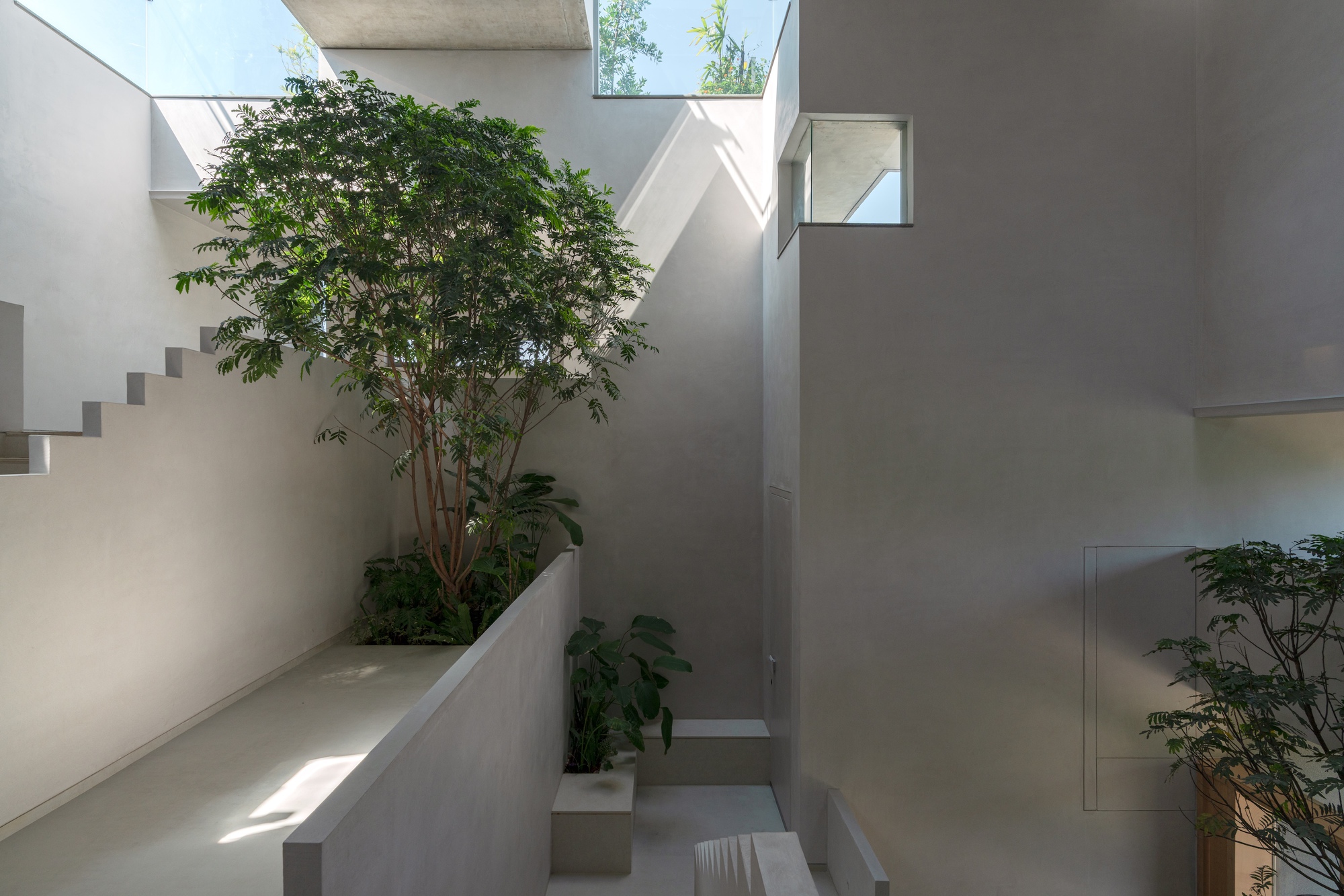 Multi-level concrete staircase winding around a central tree beneath exposed concrete ceiling and skylights