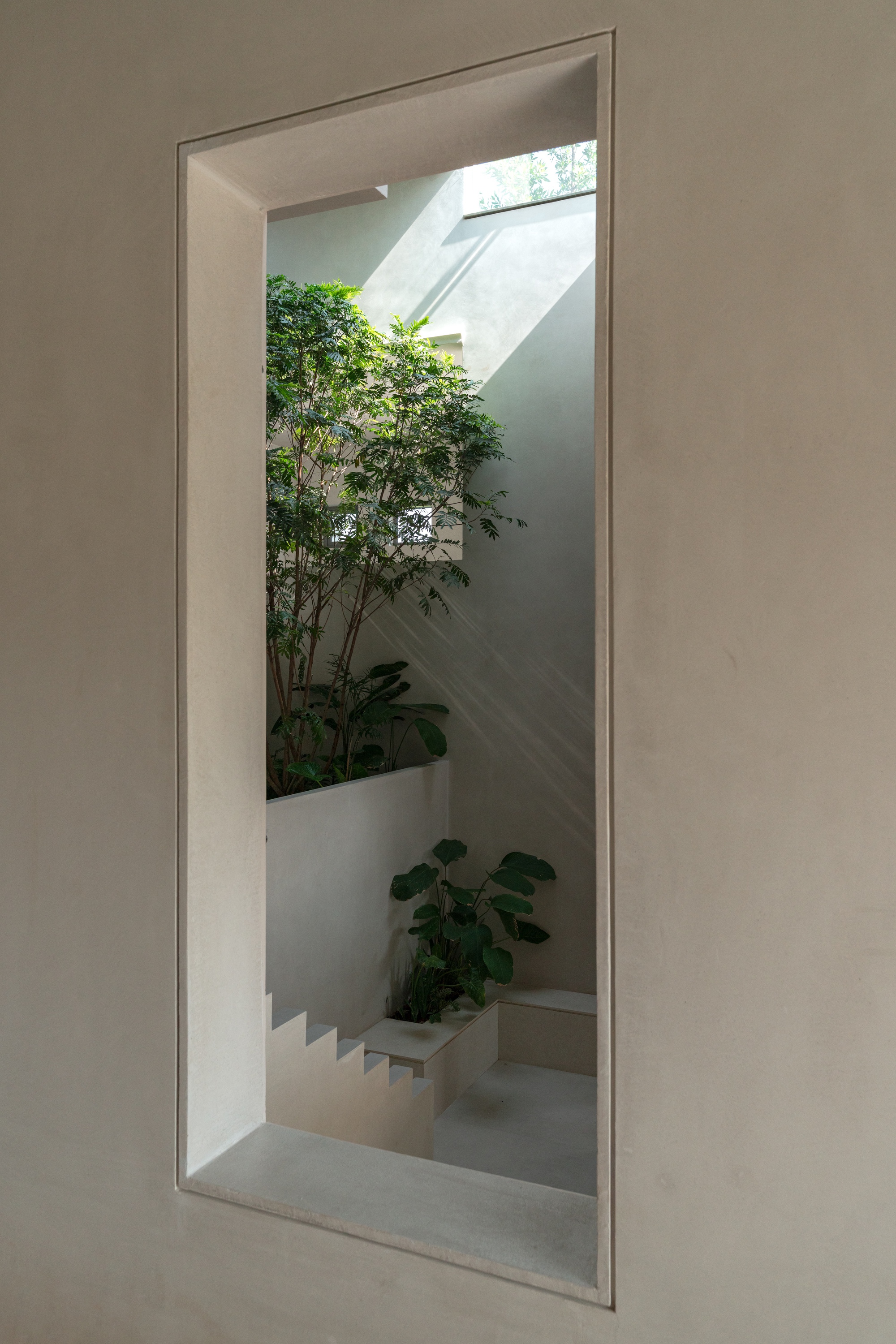 Tall window framing an internal courtyard with planted trees and stepped concrete planter beds