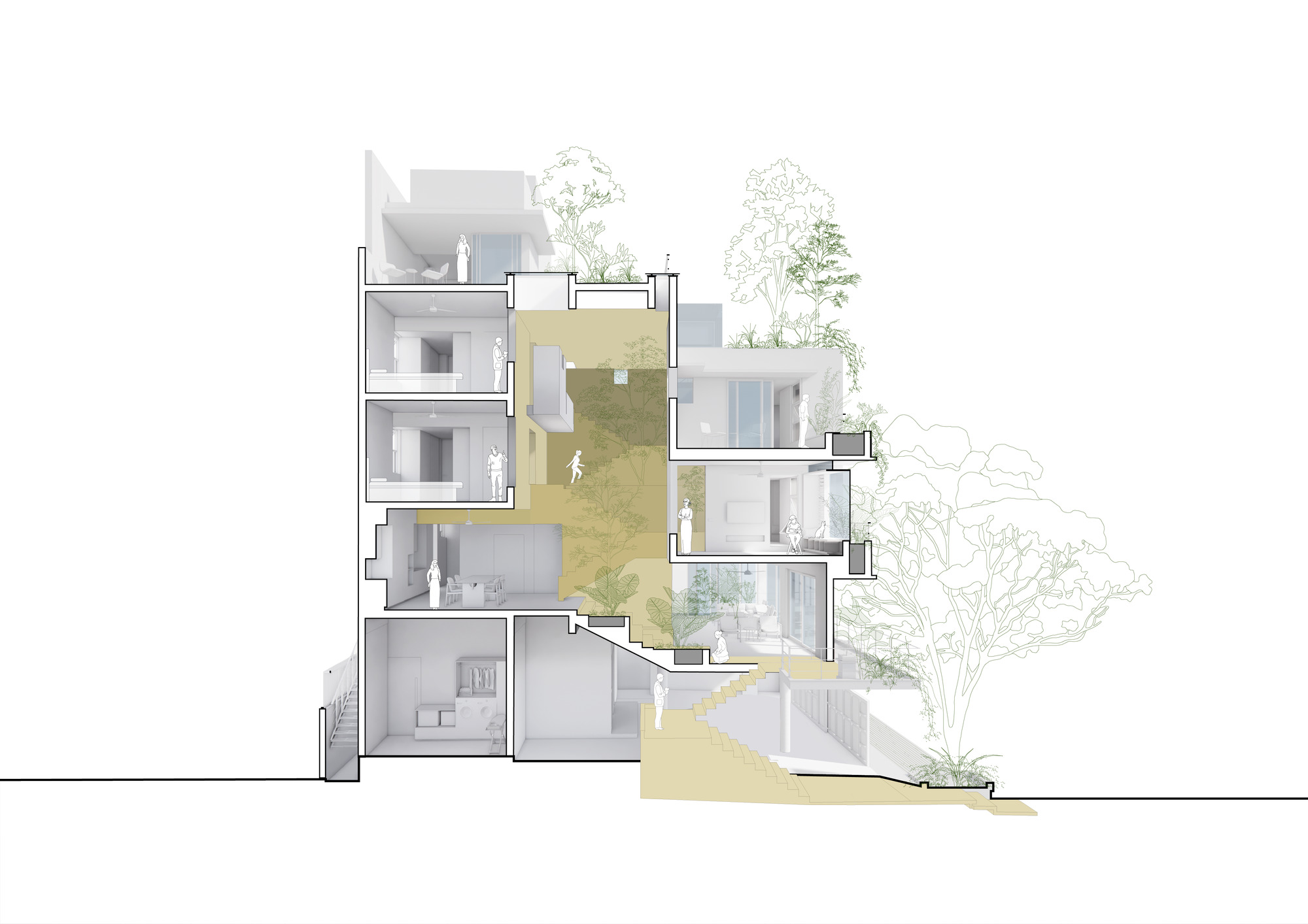 Section drawing highlighting a central circulation spine connecting rooms across offset floor levels with outdoor terraces