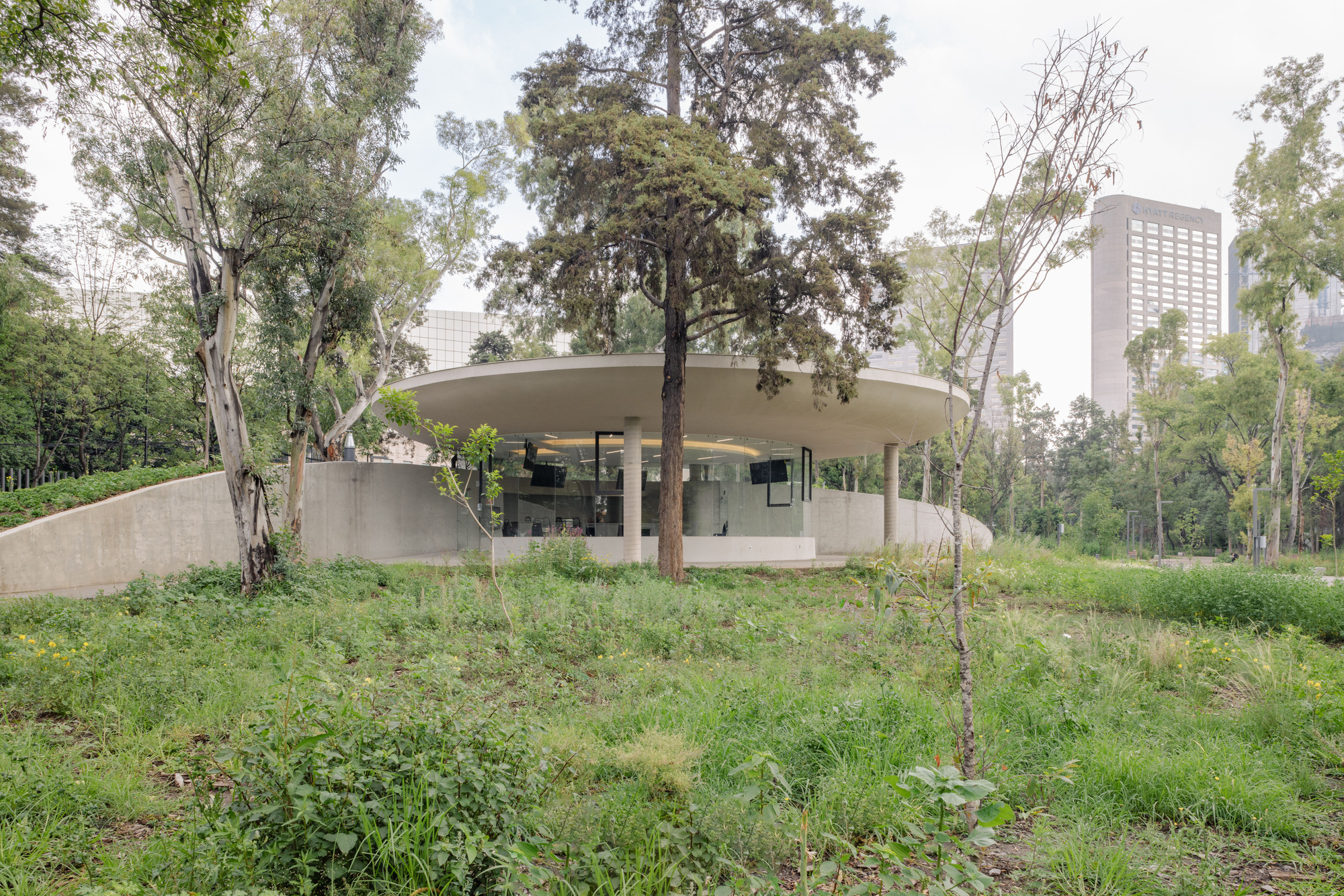 Pavilion with floating concrete roof and glass walls nestled among trees on a sloped green site