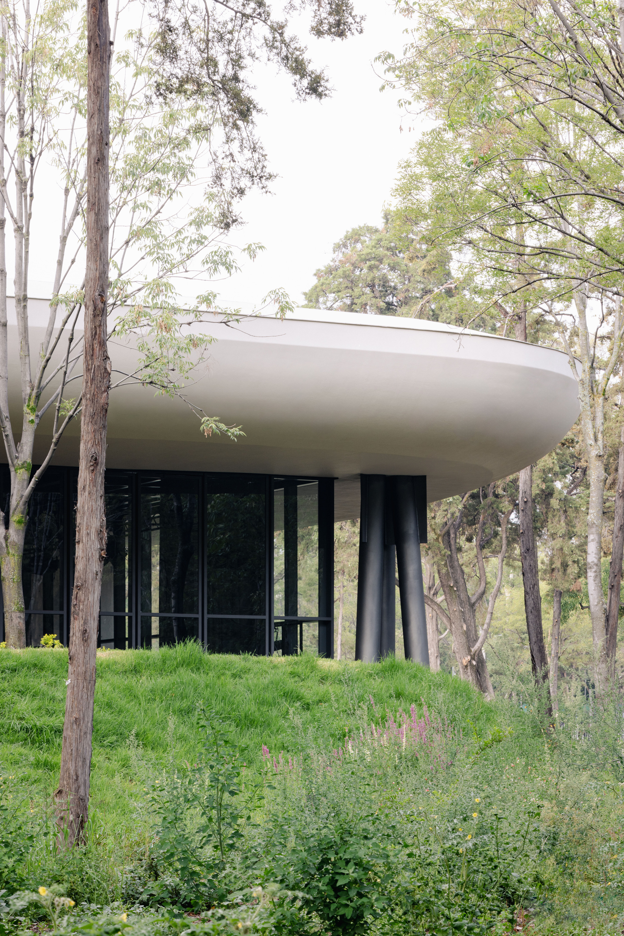 Elevated pavilion on cylindrical black columns surrounded by grassy slope and native trees