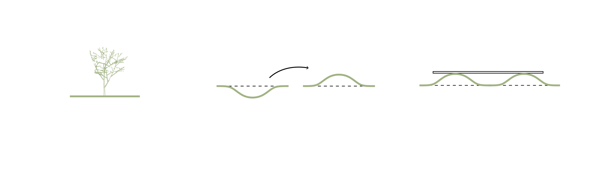 Section drawings illustrating the building relationship to natural topography and a single tree