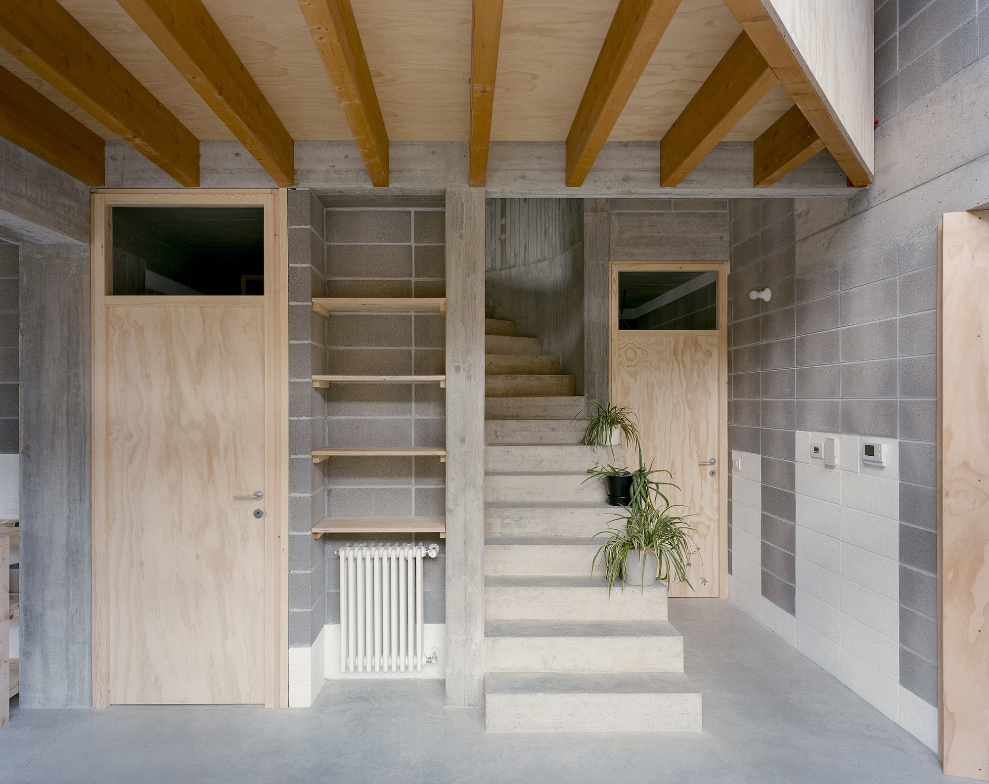 Concrete staircase with timber ceiling beams and built-in shelving beside potted plants