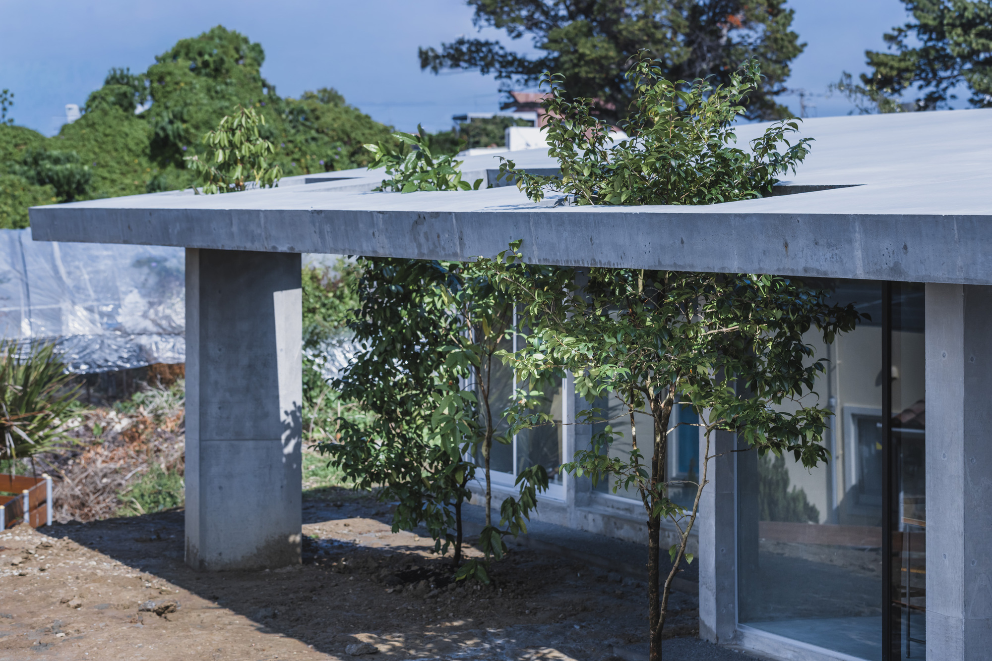 Corner detail of the concrete roof slab with trees growing through planted openings
