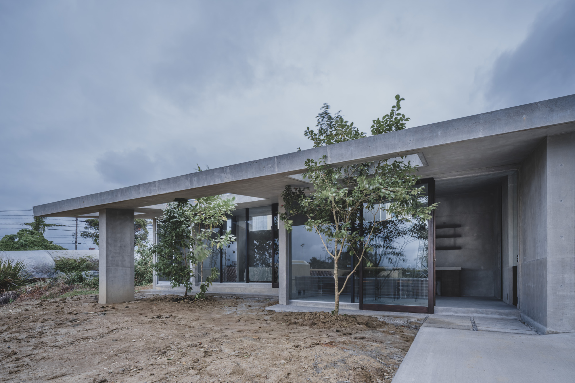 Concrete roof canopy extending over glass-walled volumes with young trees planted in bare earth below
